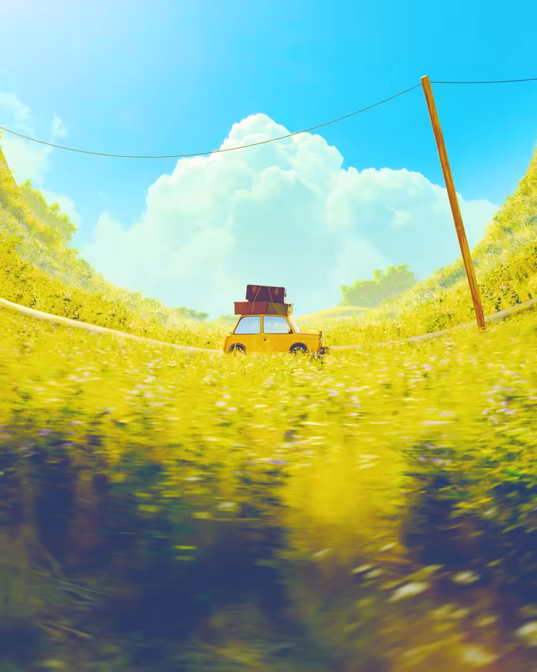 Summer Roll