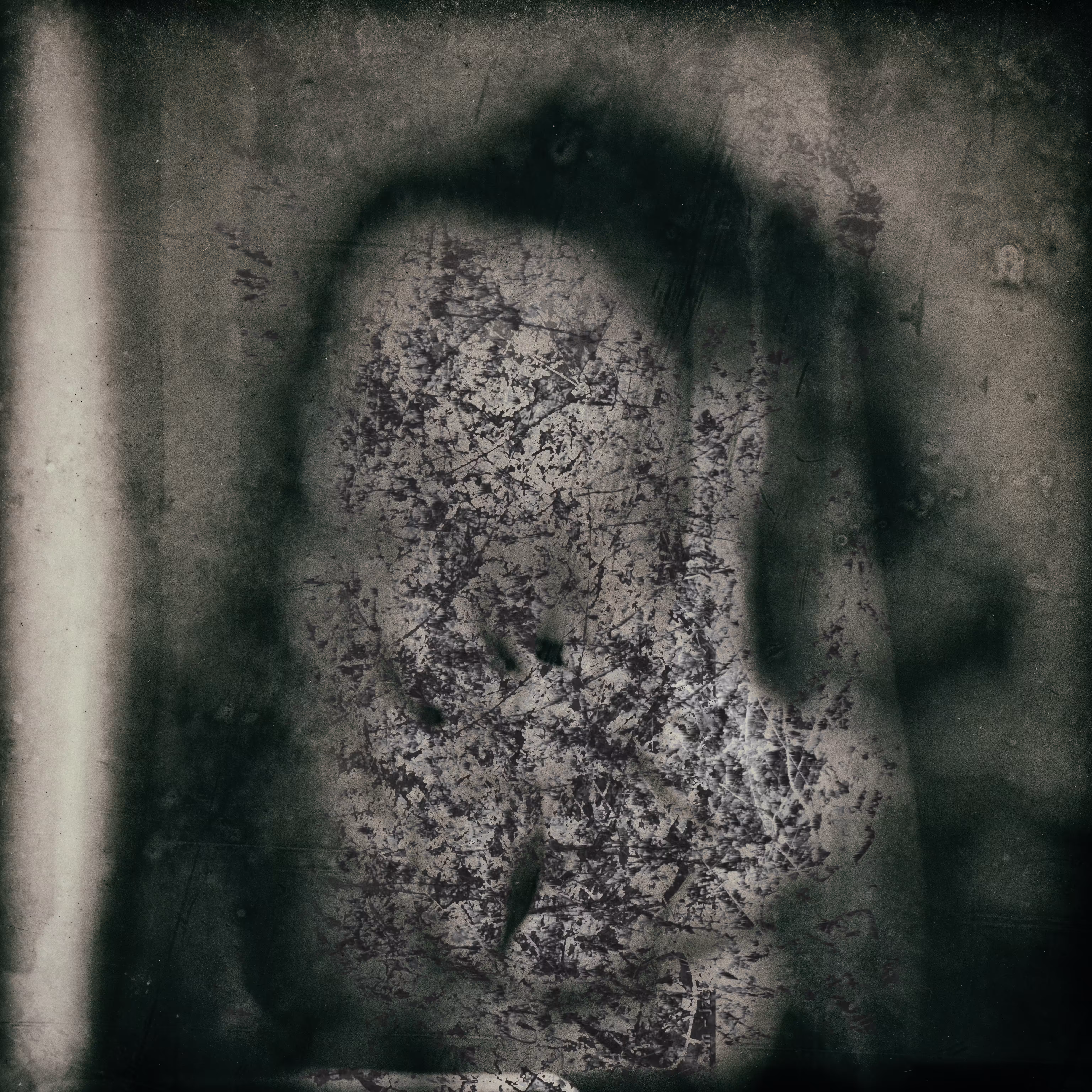 Head # 5