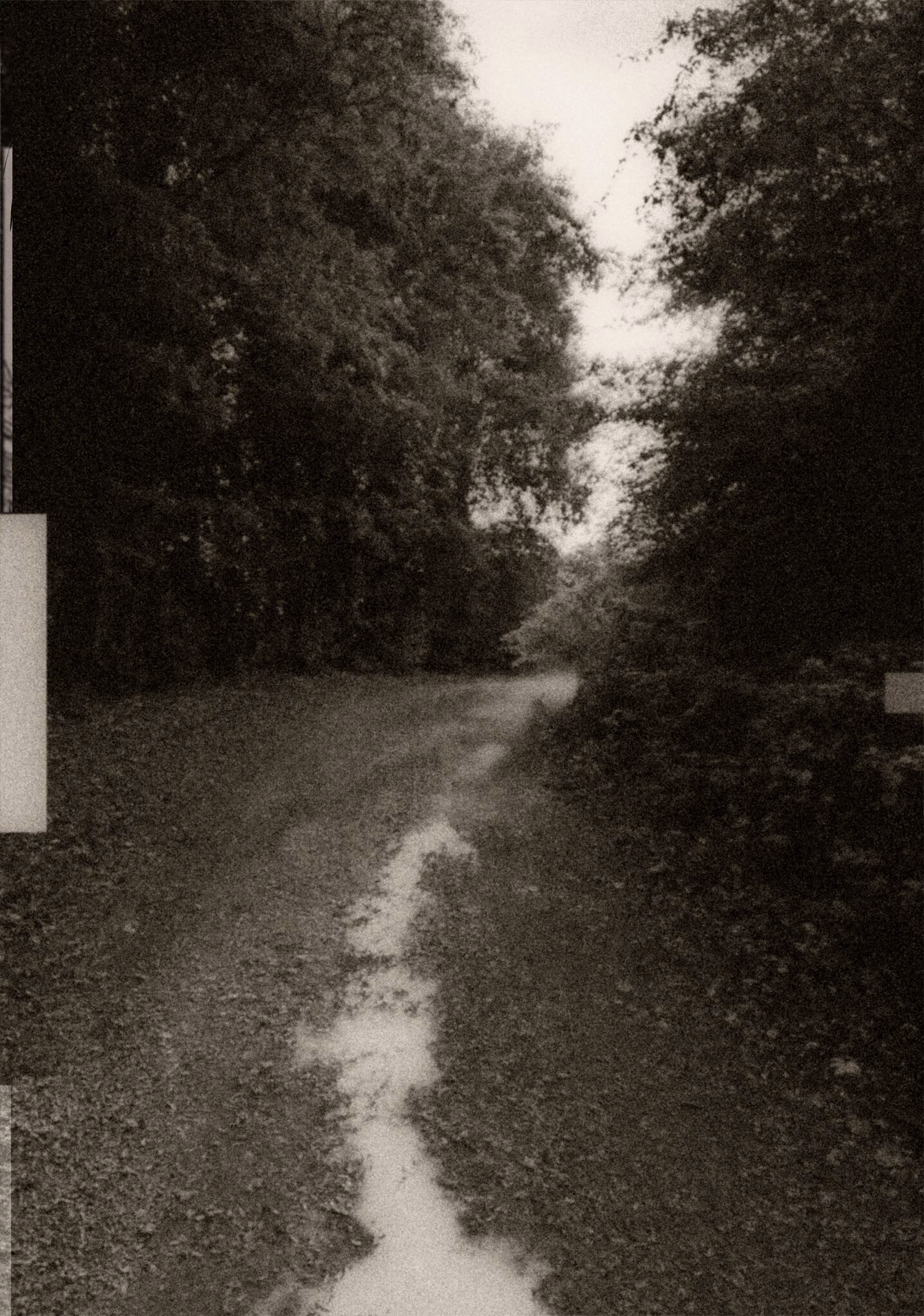 photograph 27