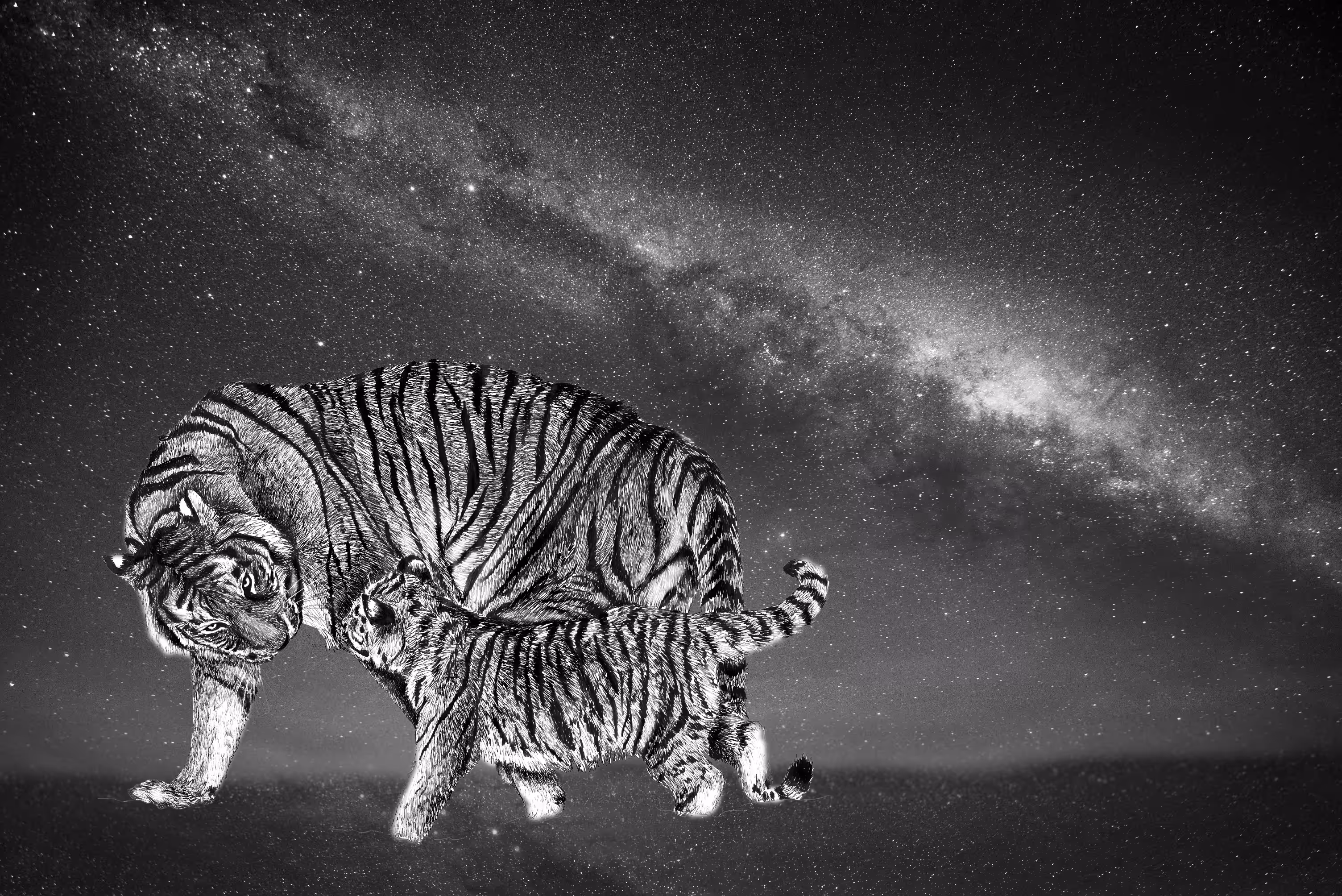 Milky Way Travellers