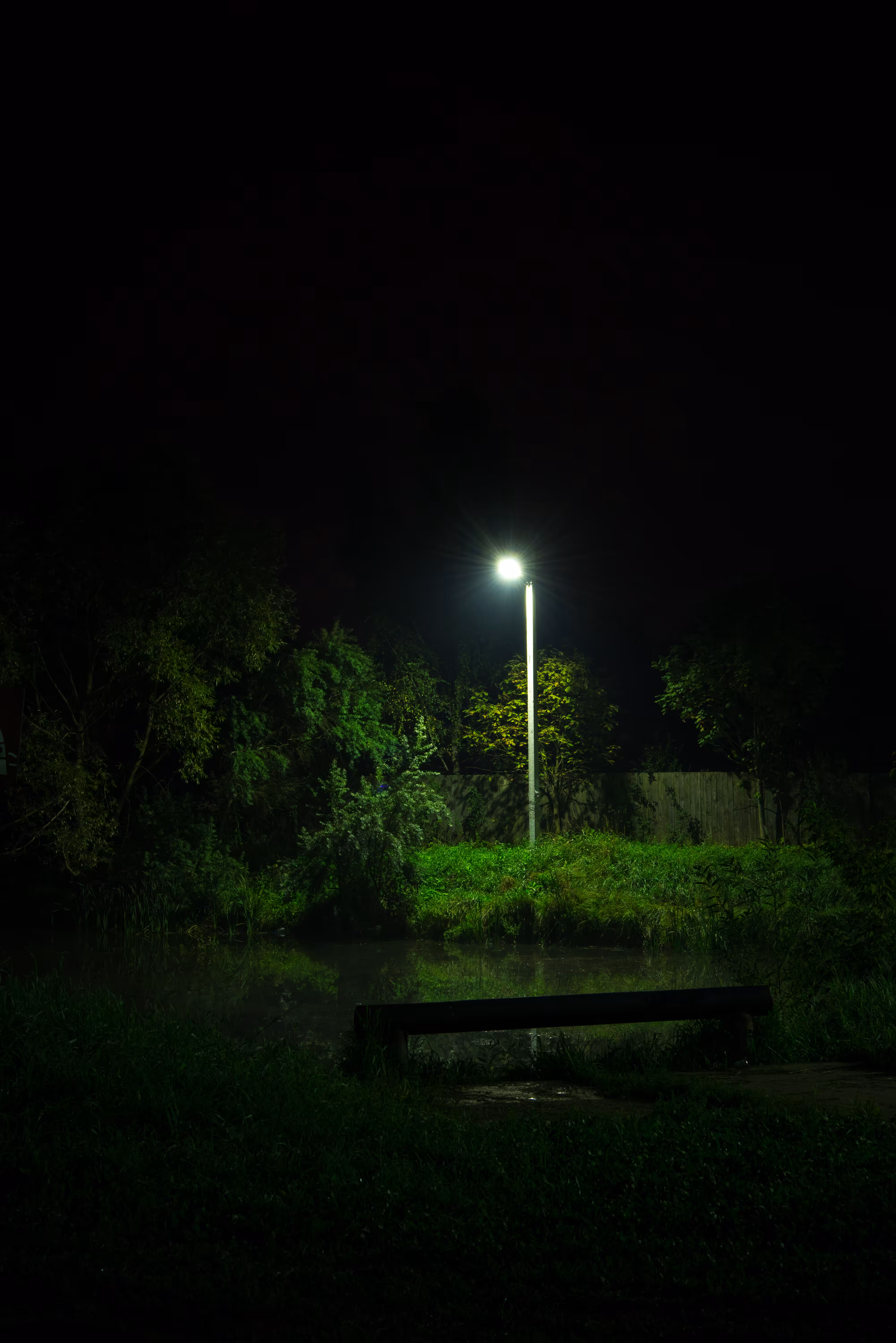lightsinthedark