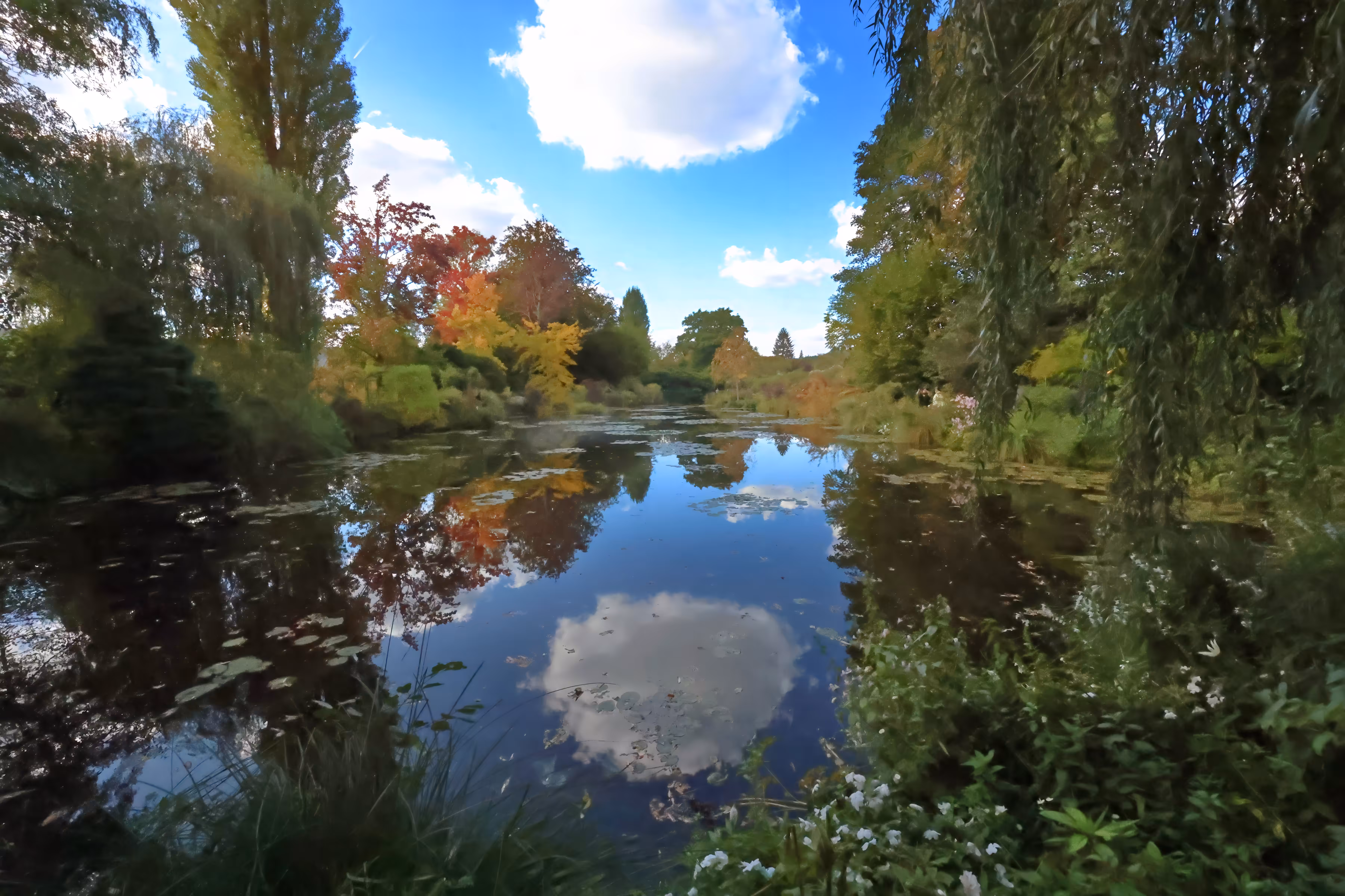 #OneToadPhotography: Monet's Garden - The Pond