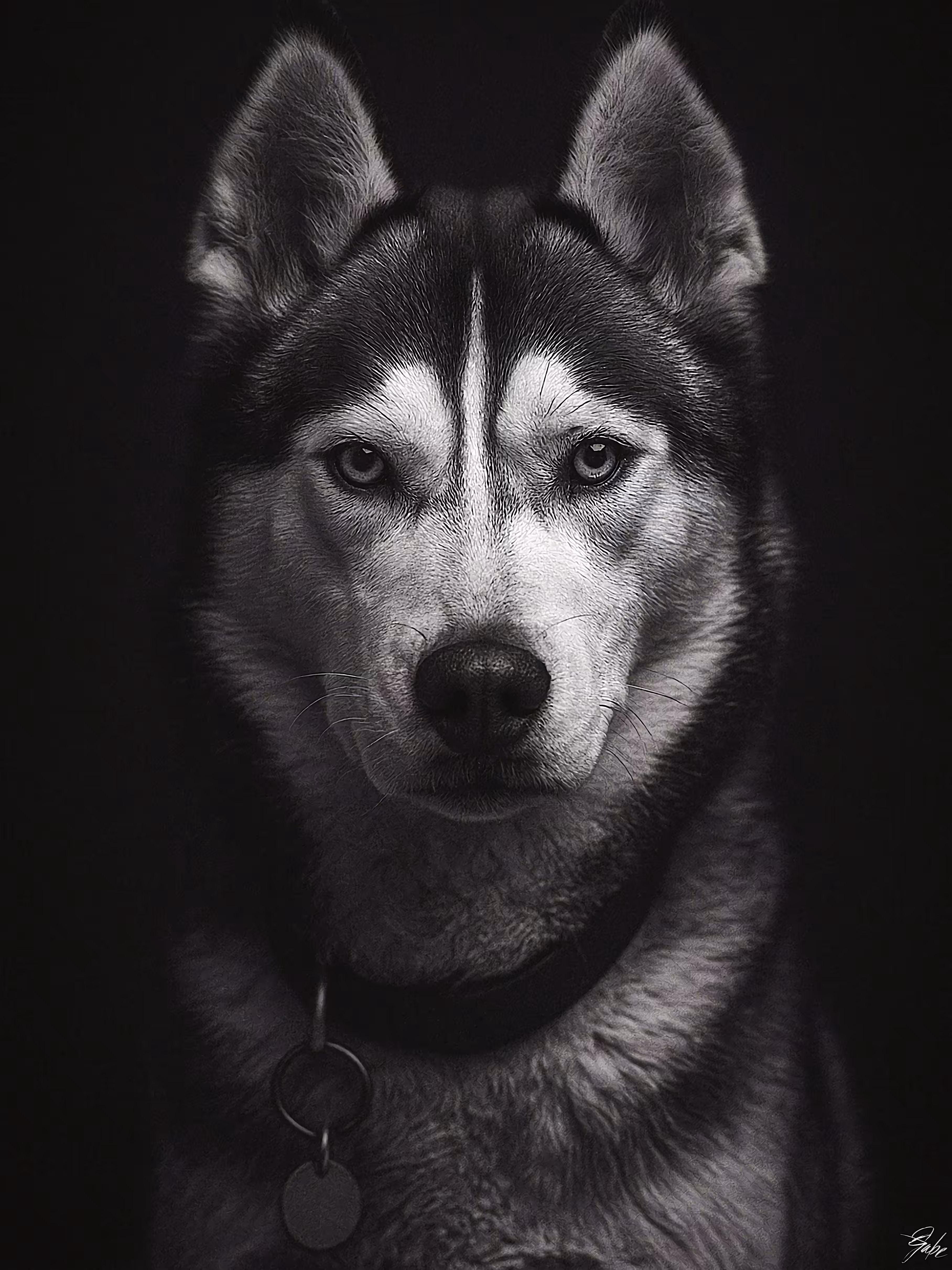 The Guardian