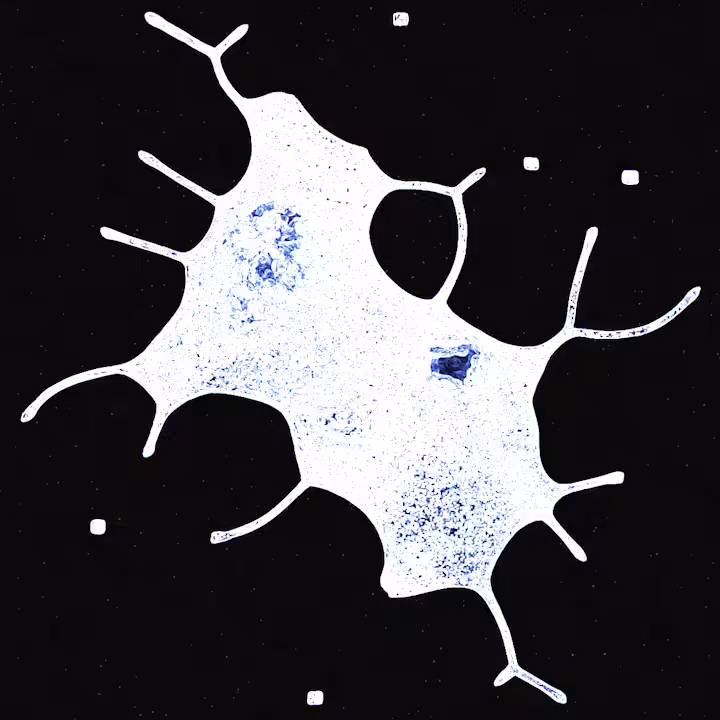 Neuron Network #010