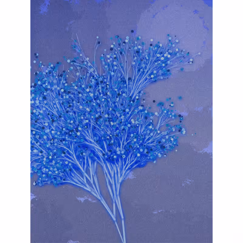 Garden of the Hesperides #13