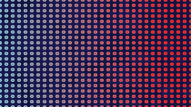 Polka #299