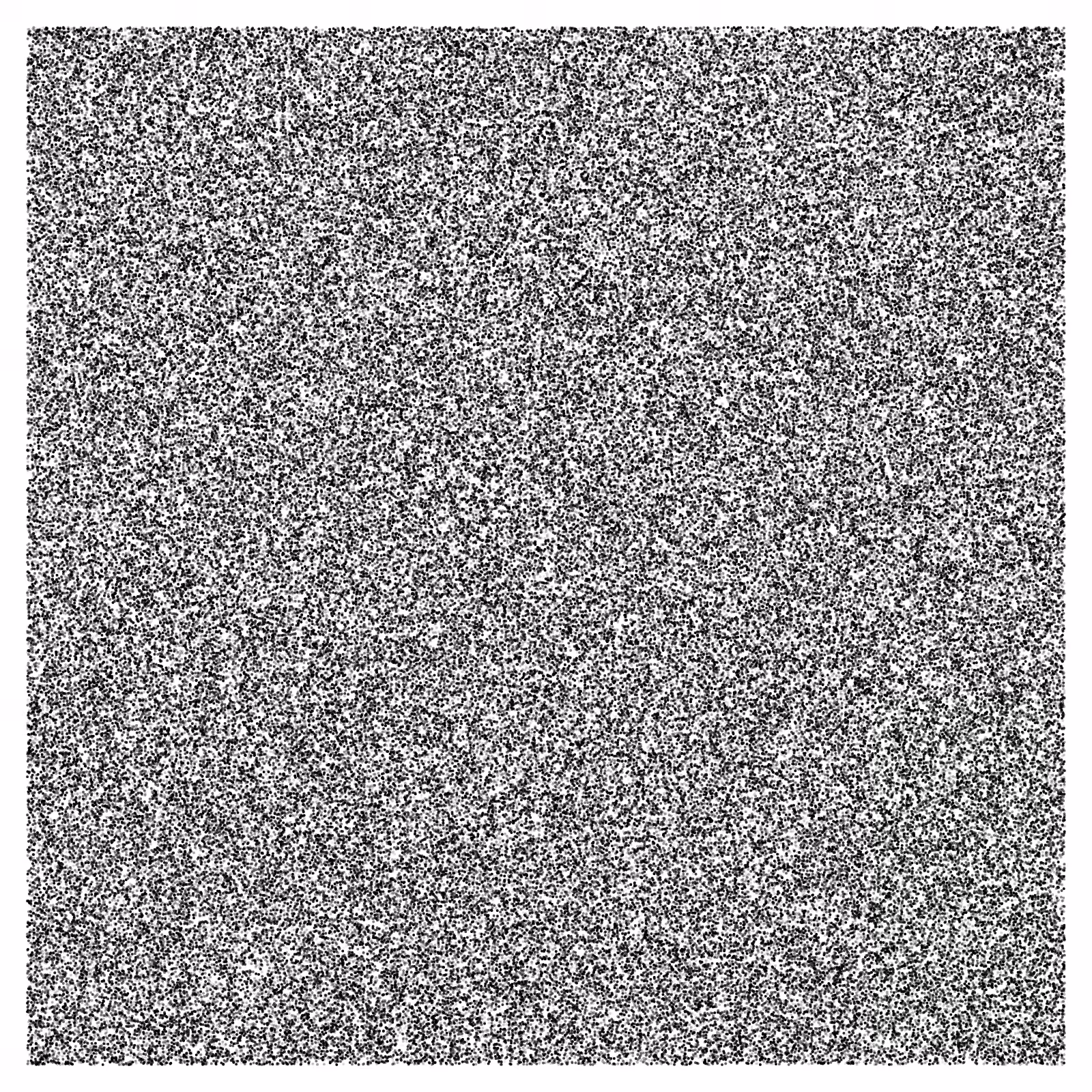 Noise #26