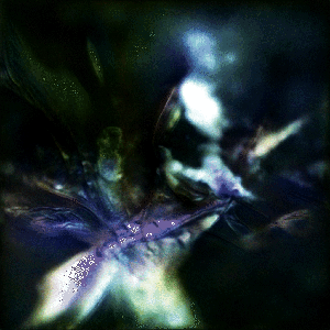 RXALITI #419 [Br1n-f0ld$ s!gn in qu0rnrot]