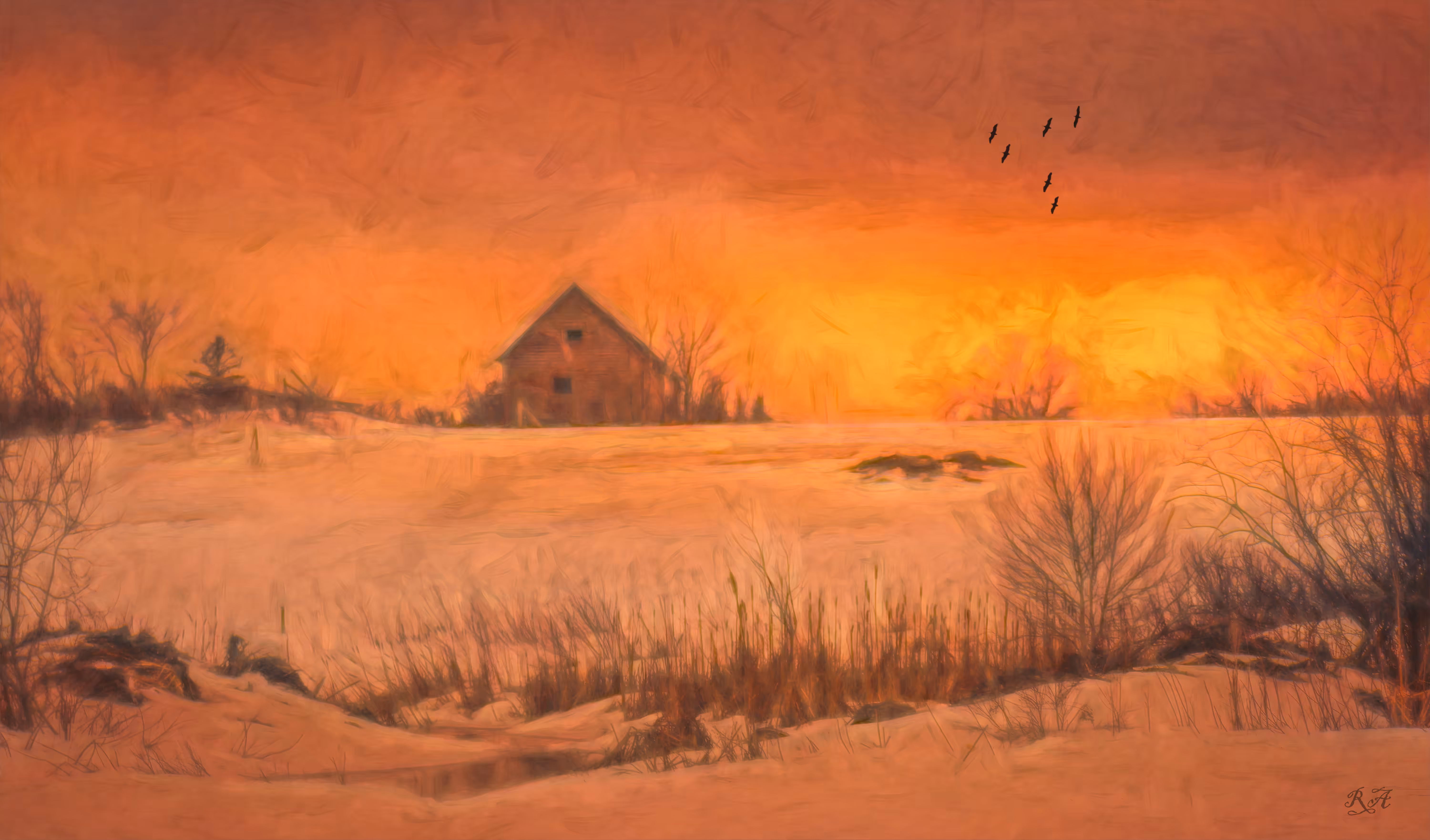 Winter Warmth