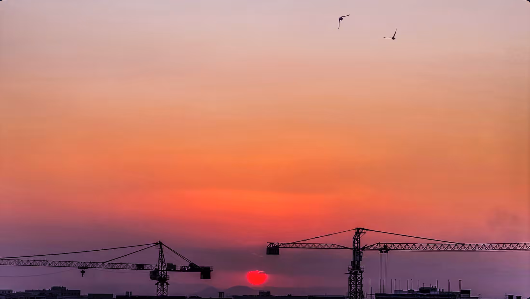 Heart Between Steel