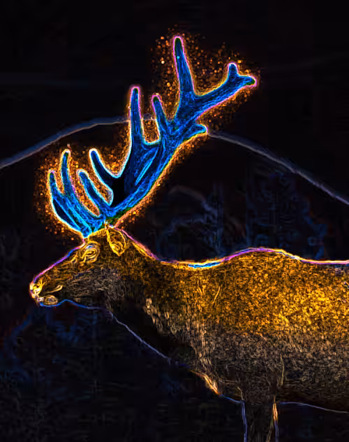 DEER 3
