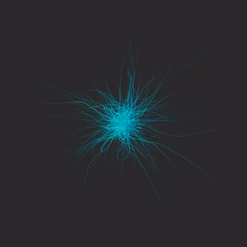 Artificial Flower 2 (2022), walkers series #12