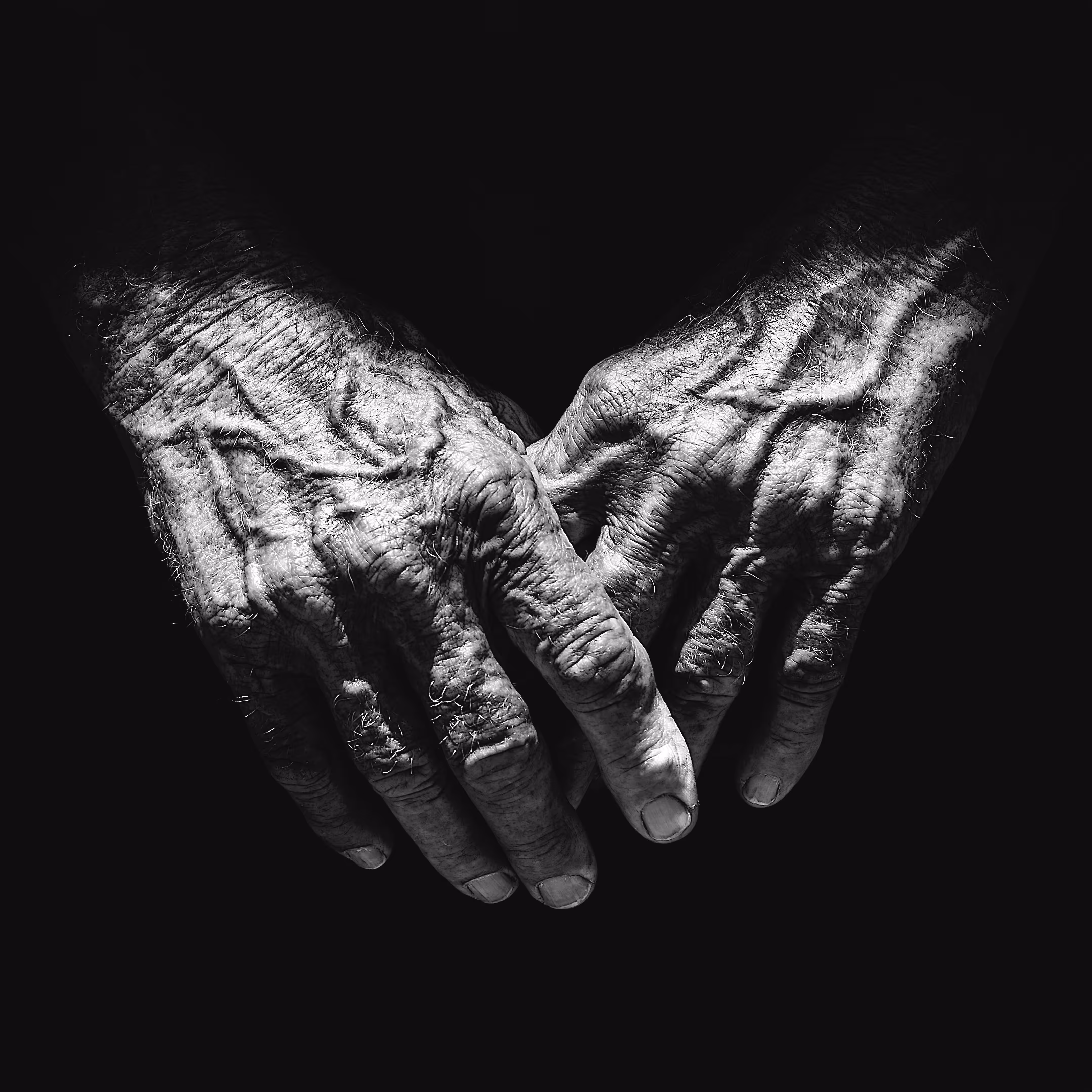 The Giving Hands