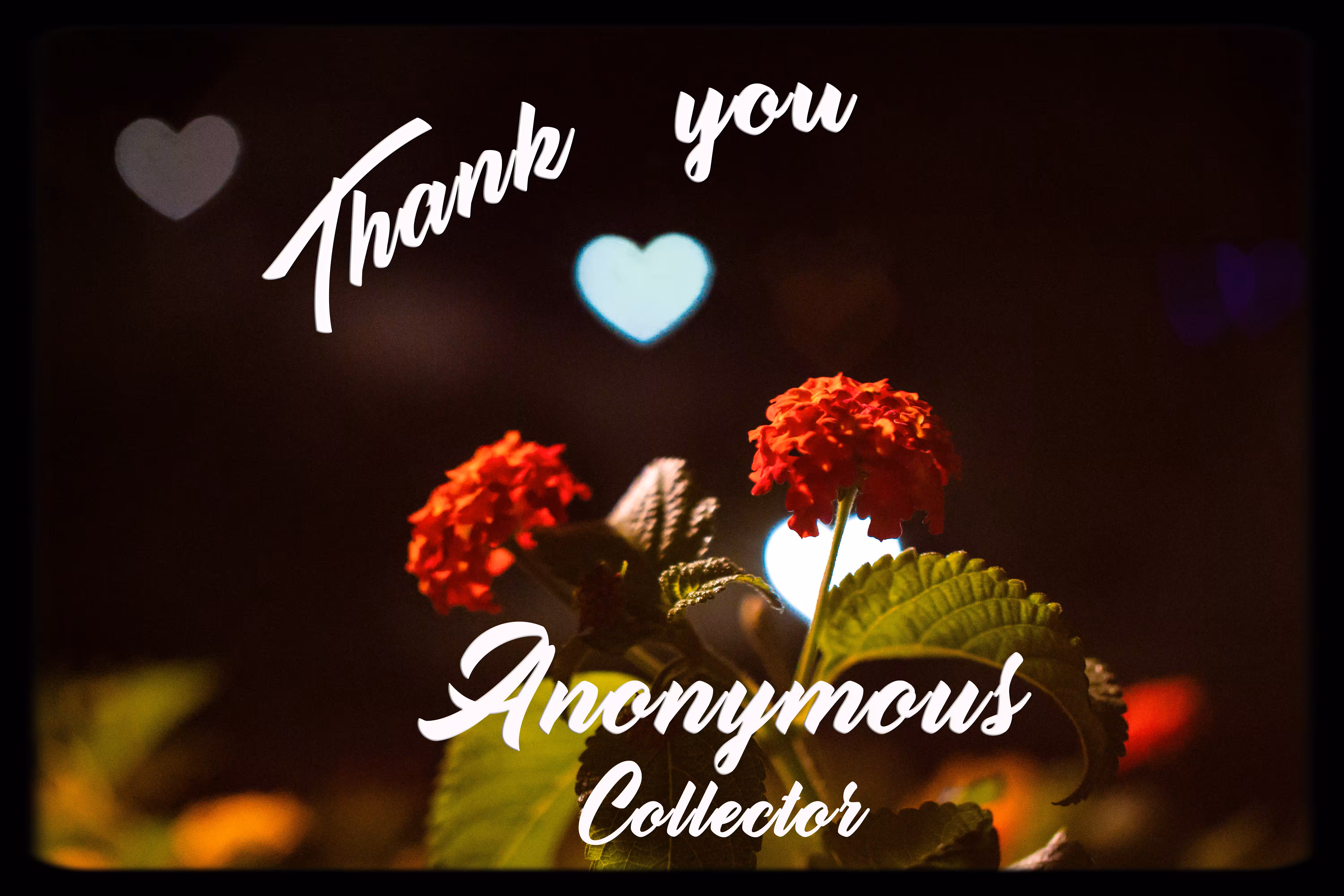 Thanks Anon!
