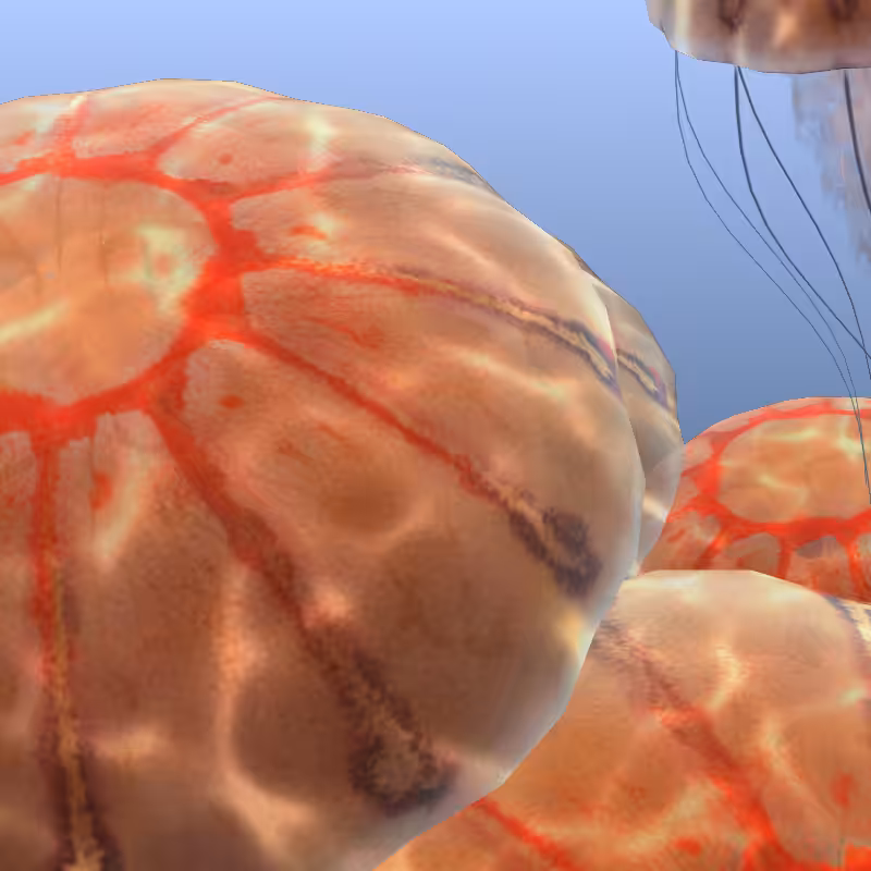 Jellyfish #62