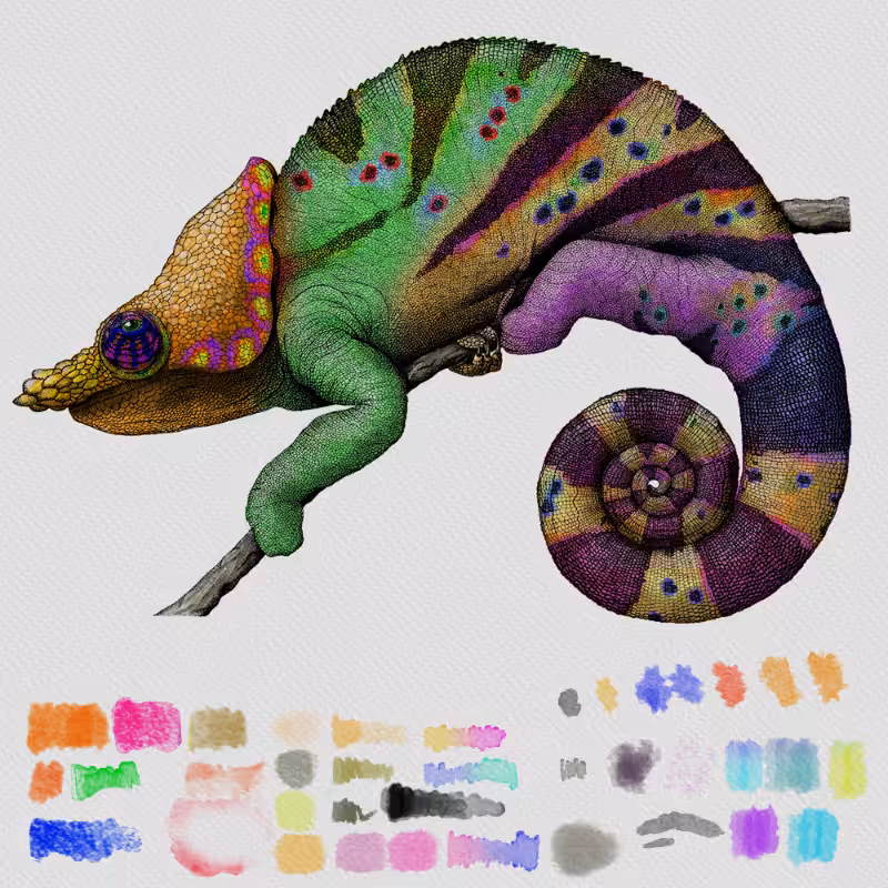 Colorful Cameleon #19