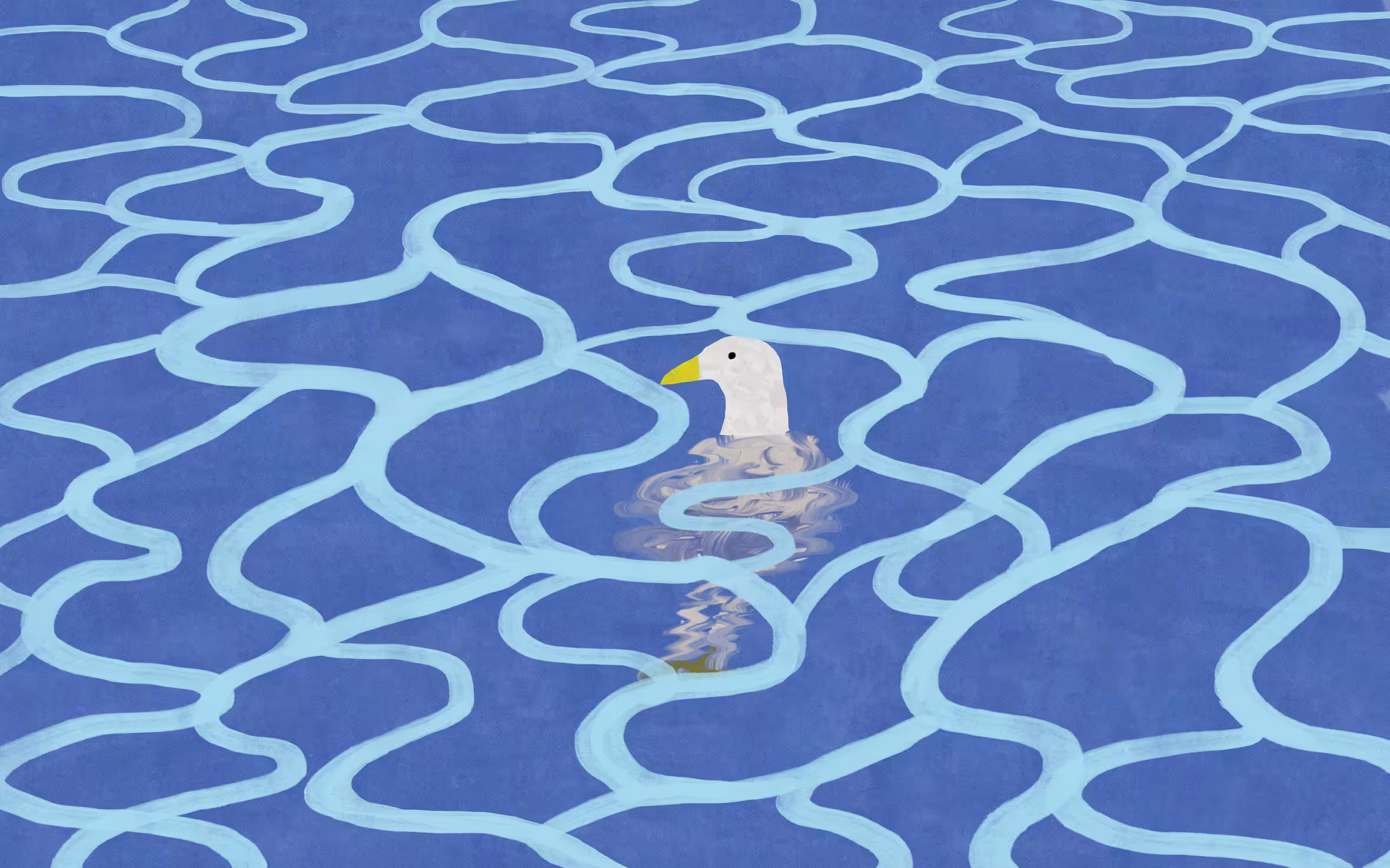 Swimming bird 