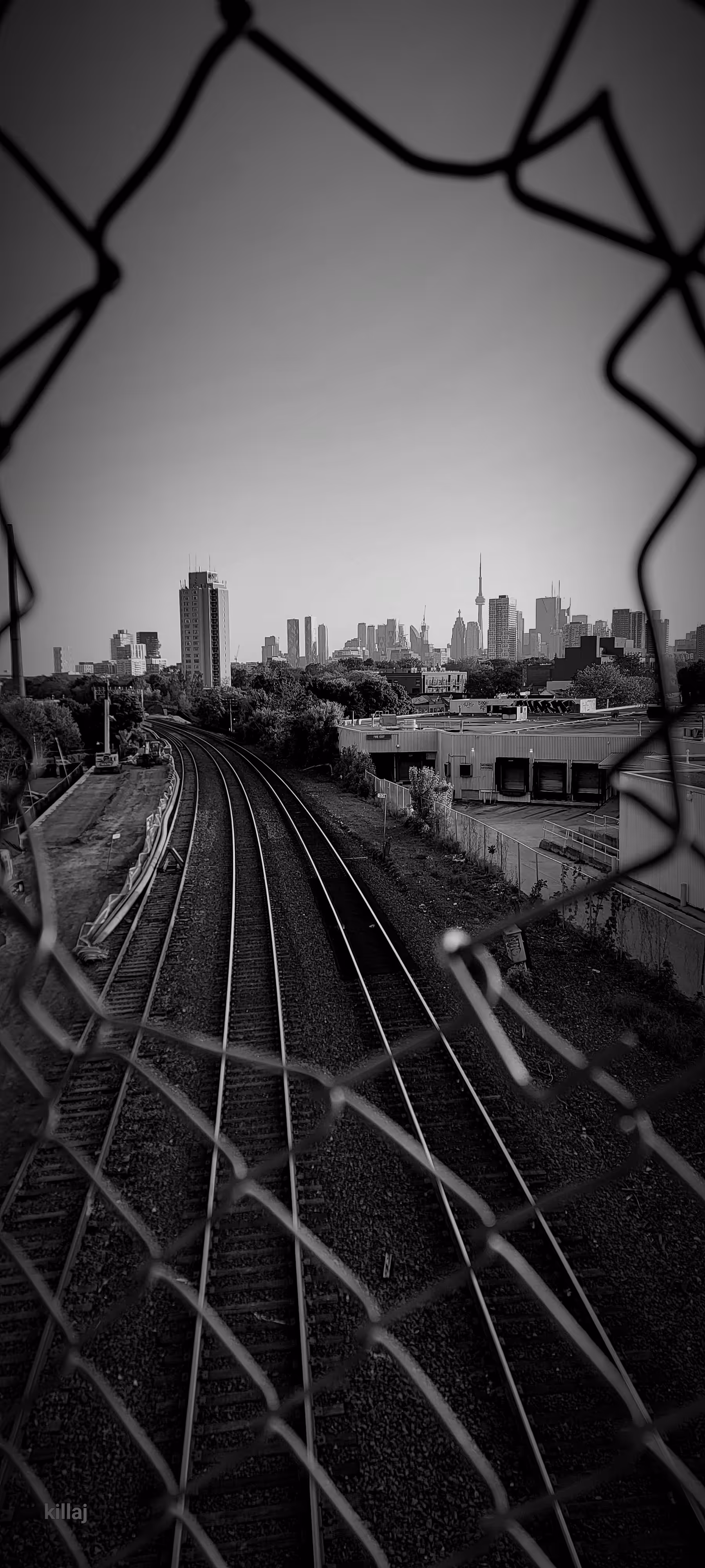 sky line
