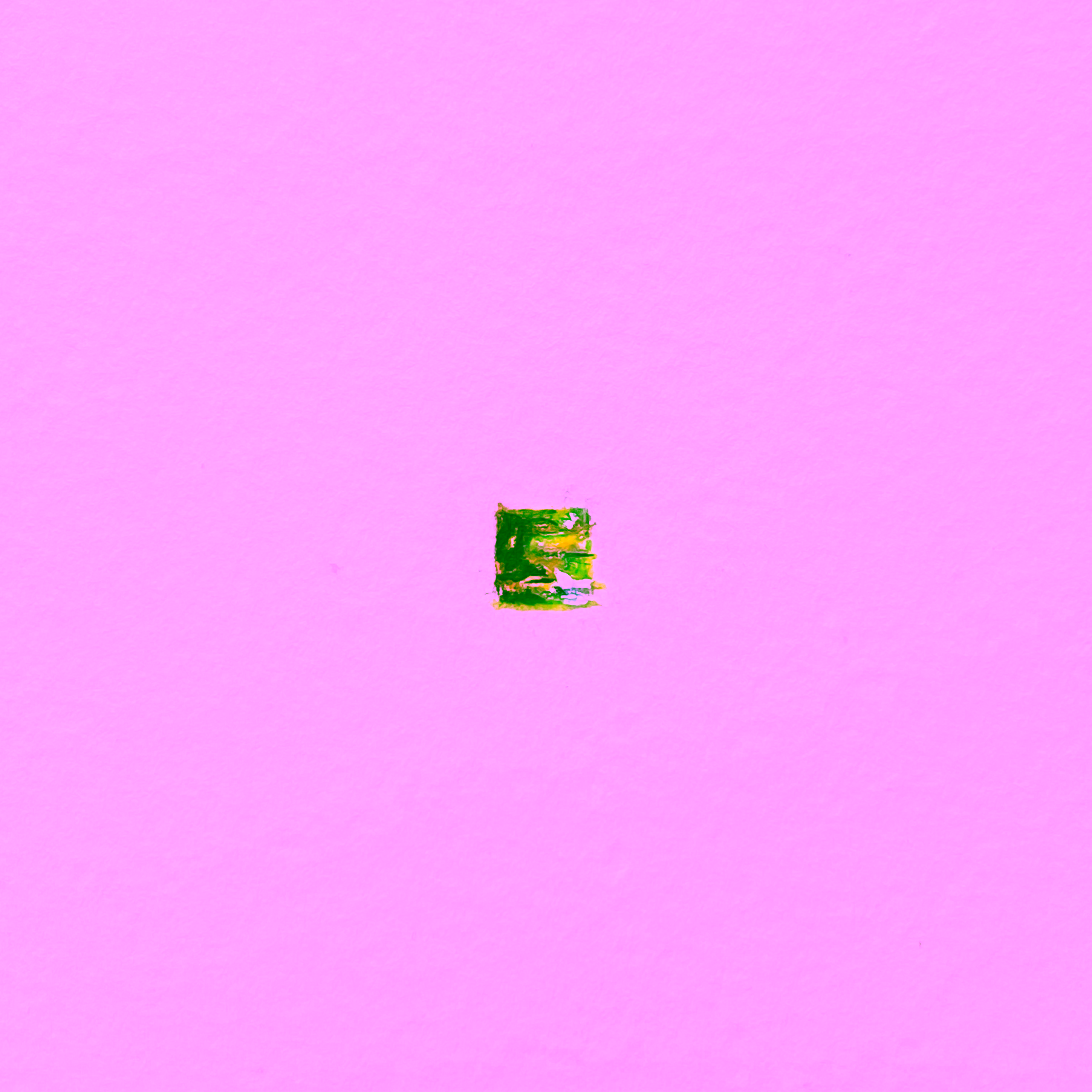 Duck in a lake