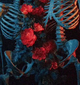 i’ll plant our flowers on your tired bones