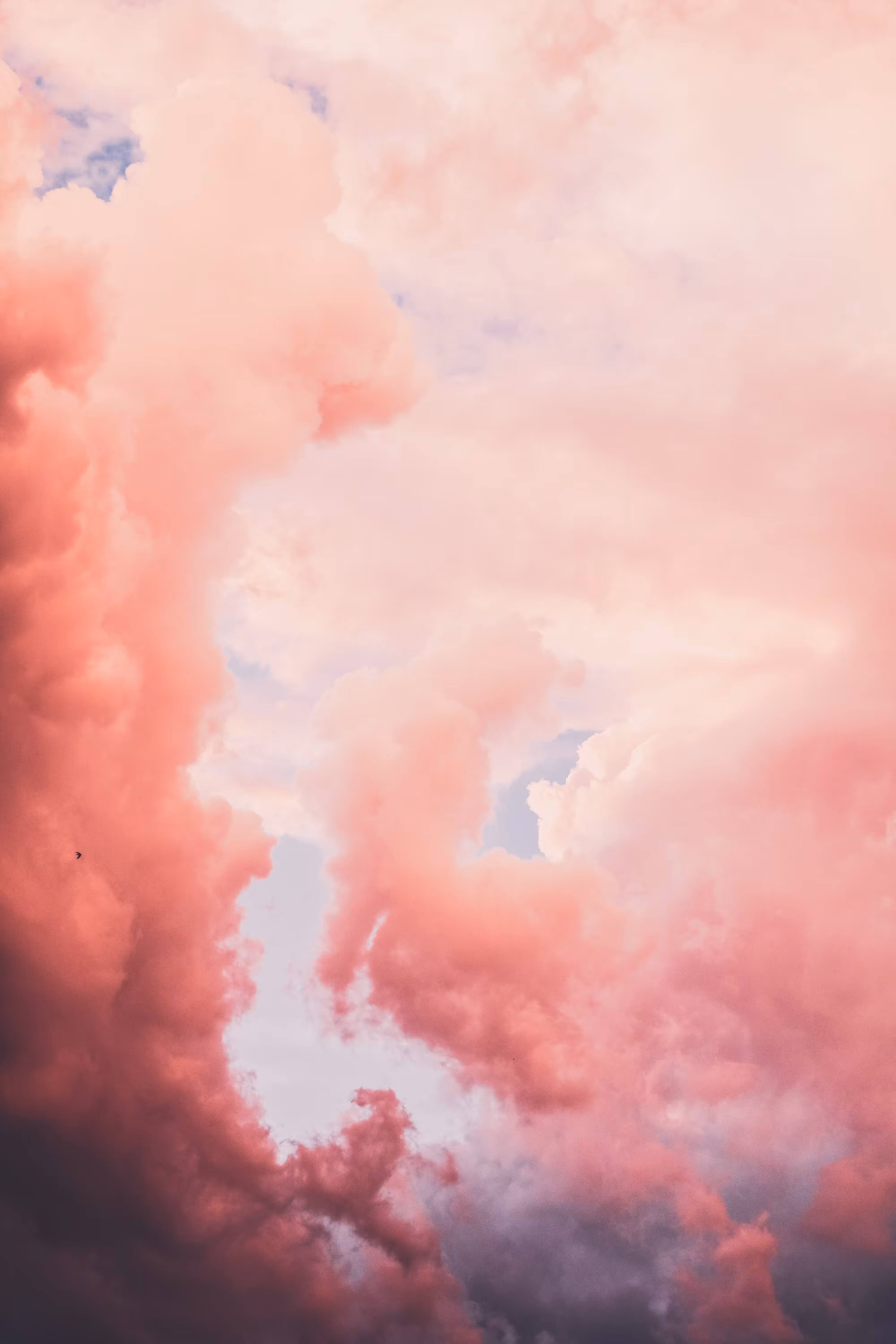 Pink storm