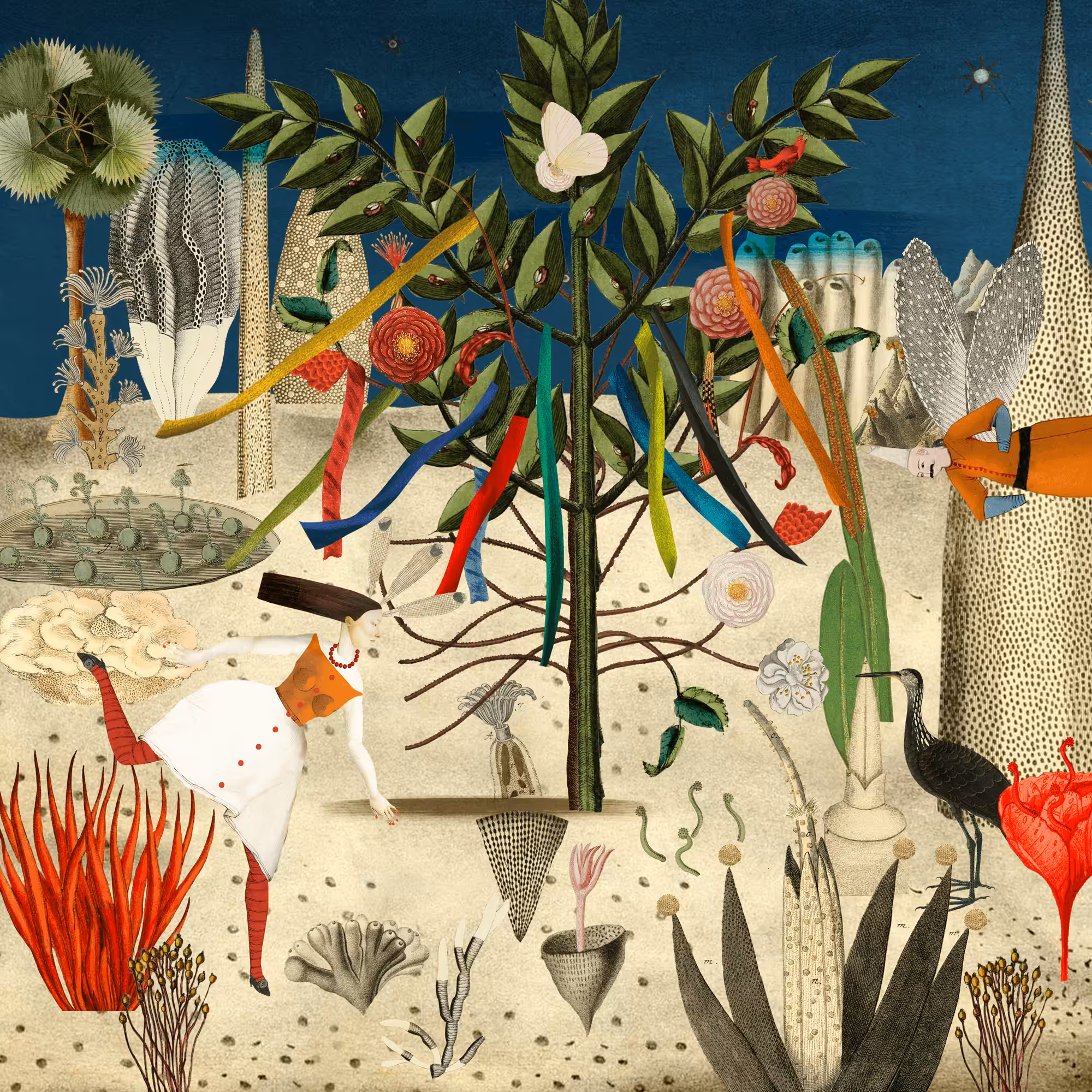 The Harvest Festival