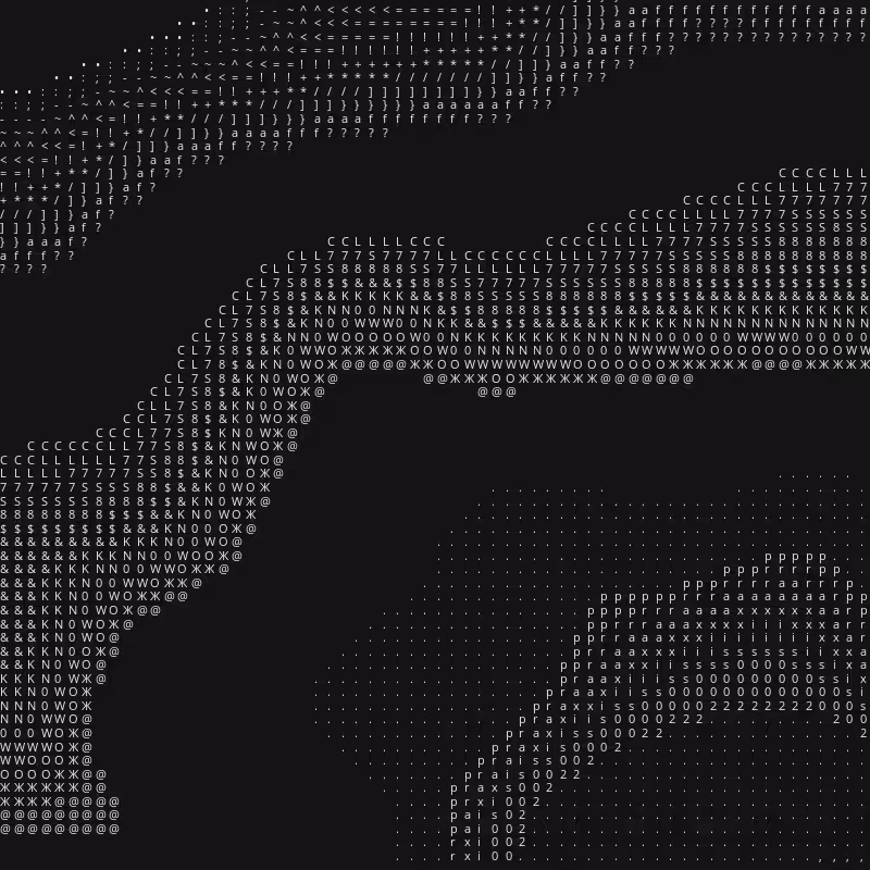 Praxis 002 #22