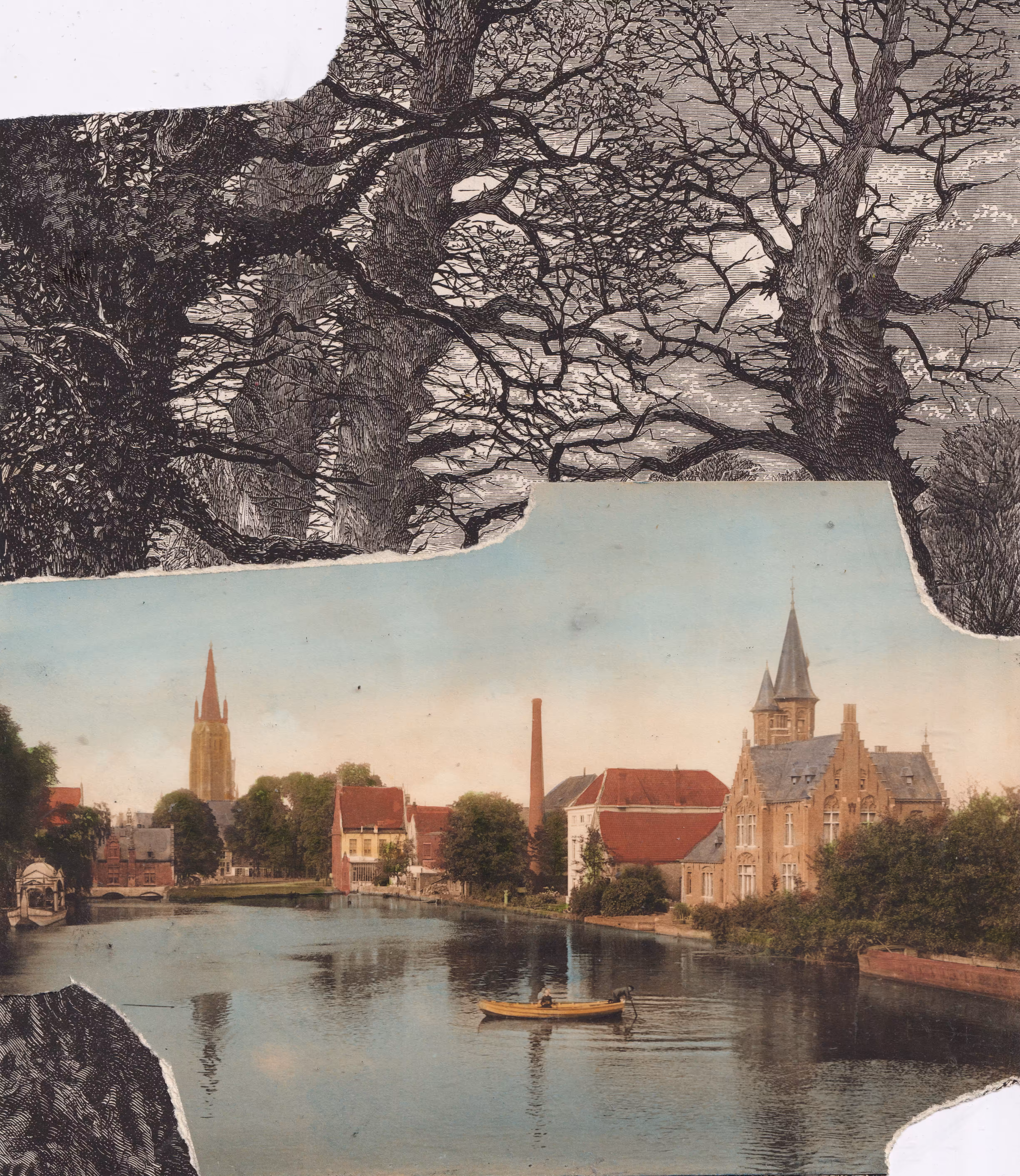 Cut: landscape