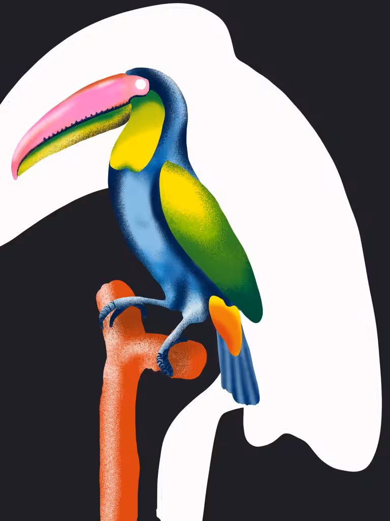 Tucano