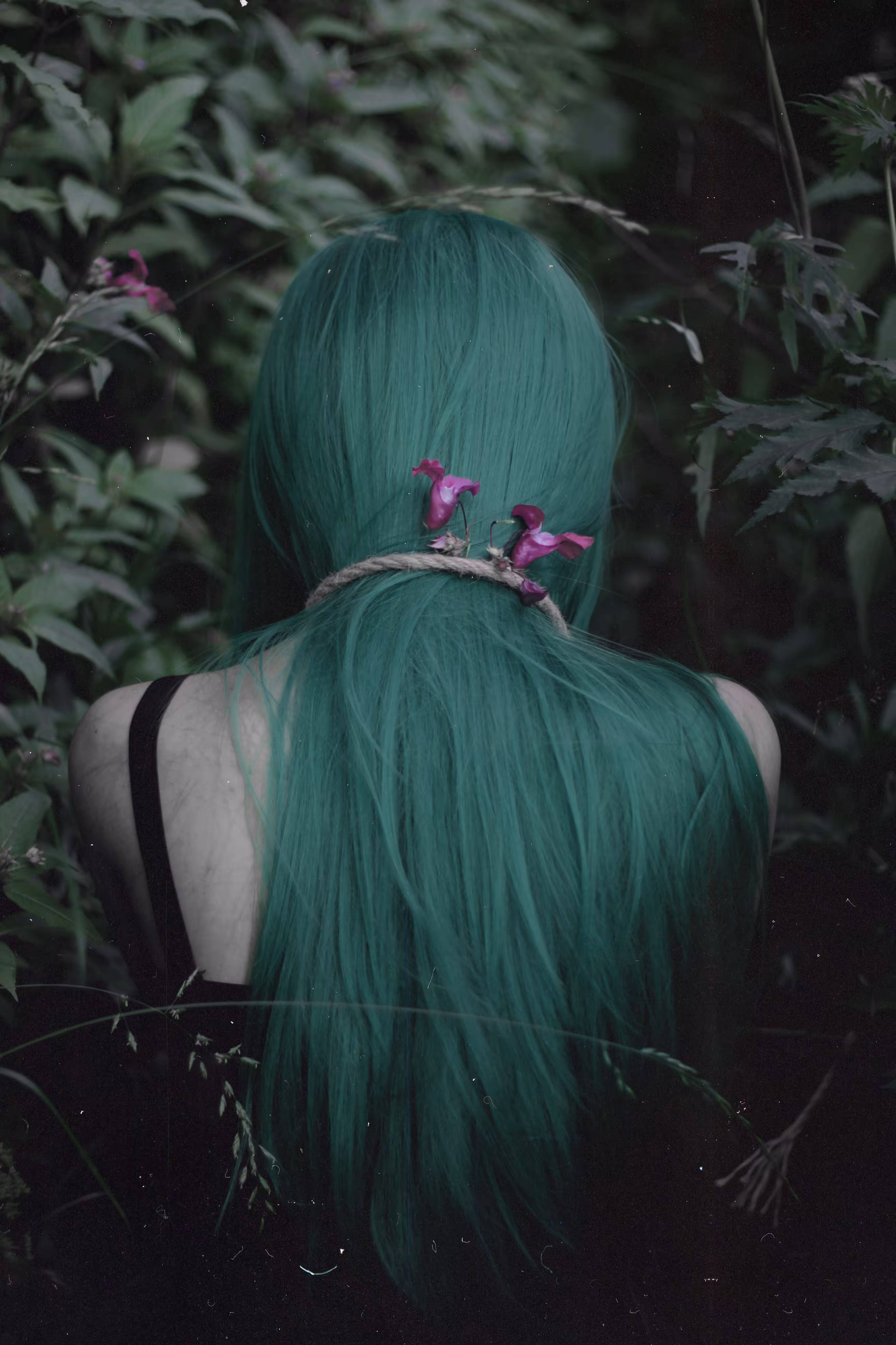 Green Forest Suicide