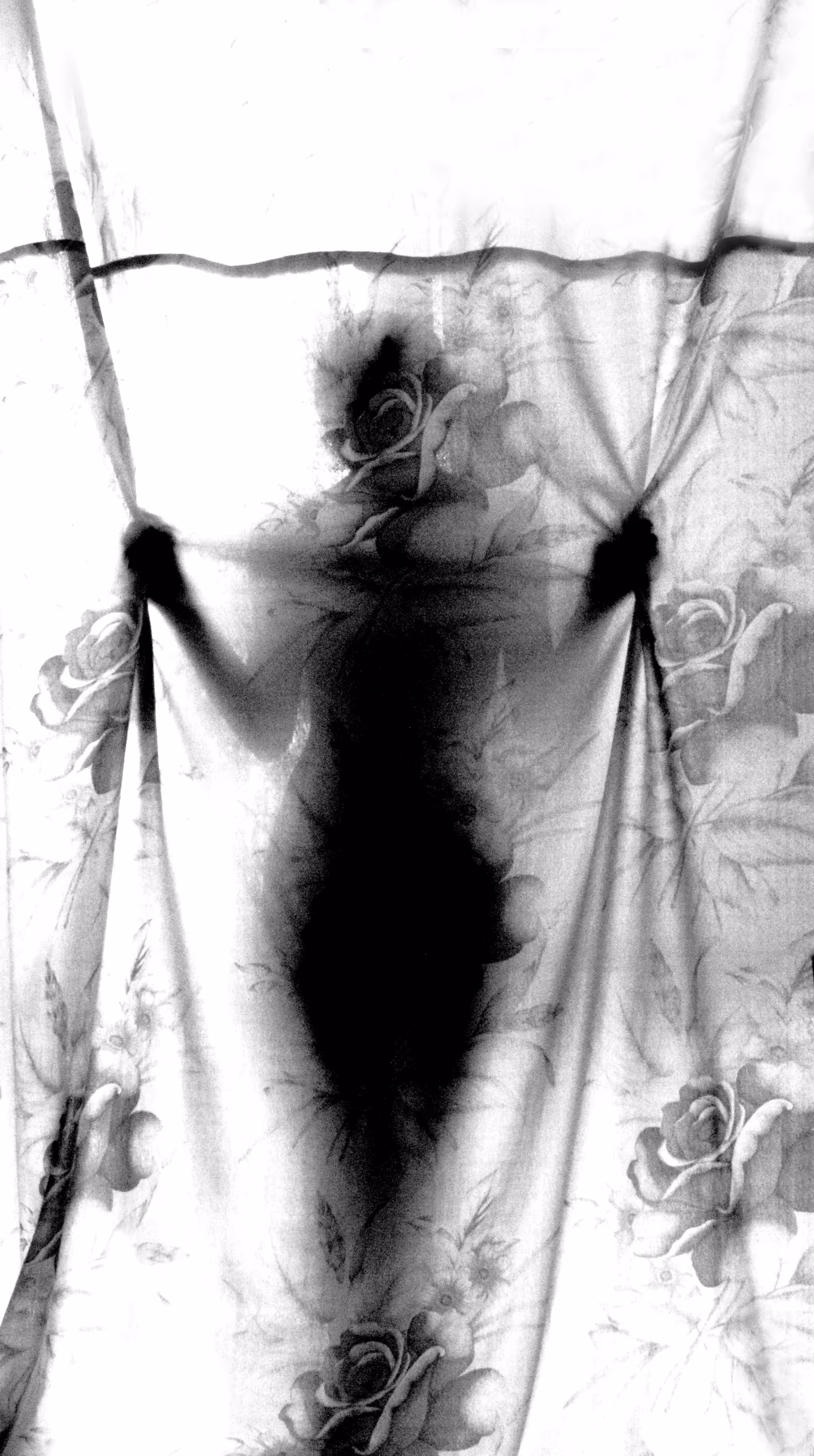 Elizabedsh