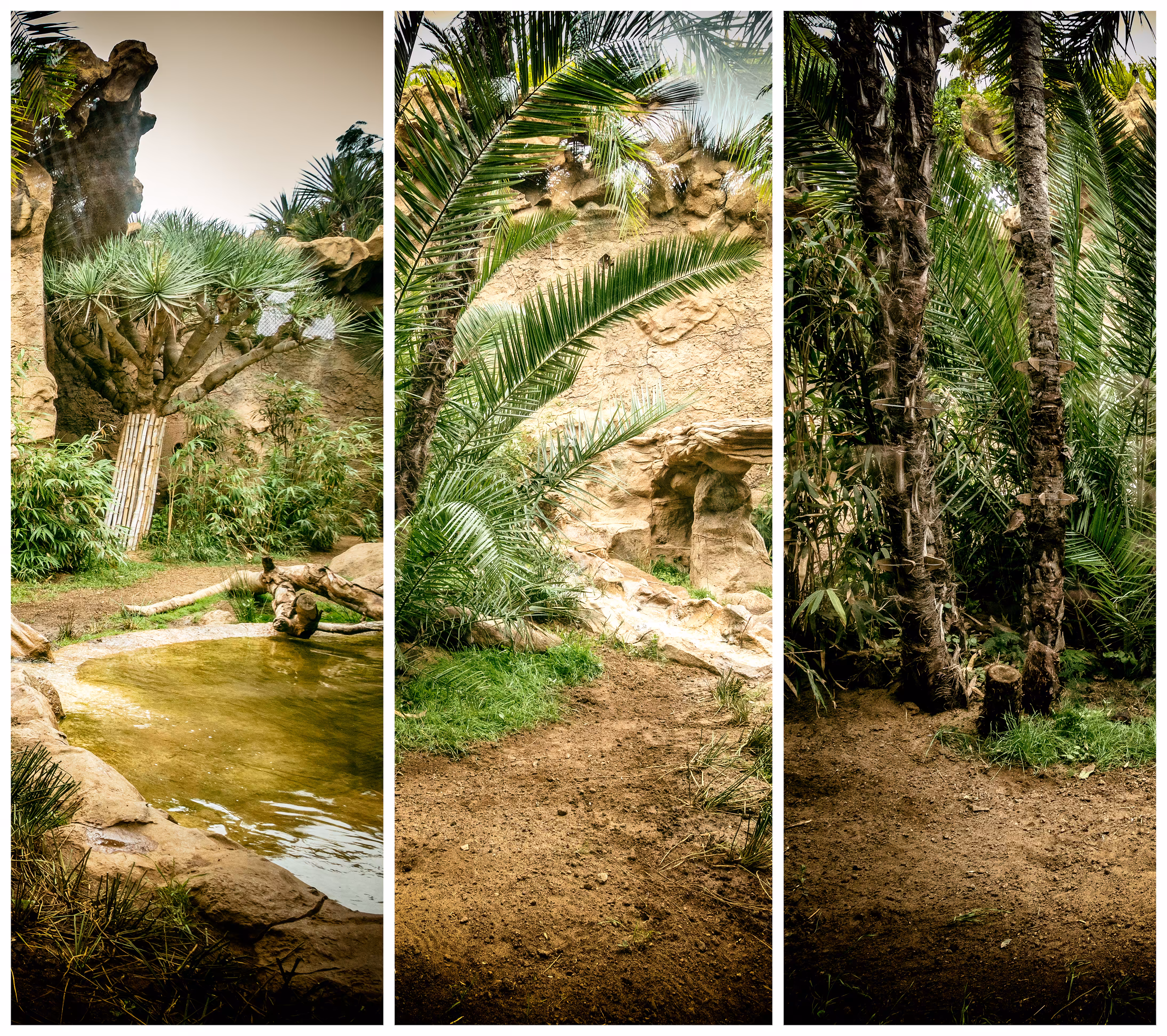 Refractive Garden - 1