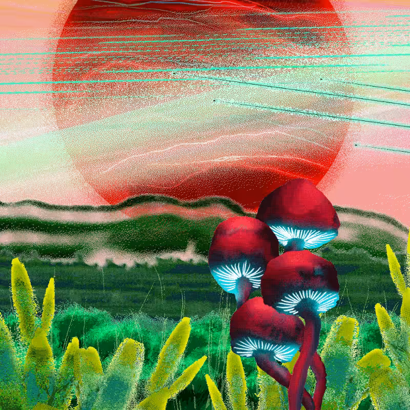 Onablo's Herbs #77