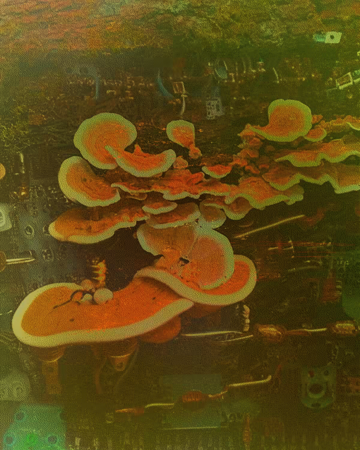 DECOMPOSED CIRCUITRY: 28415151