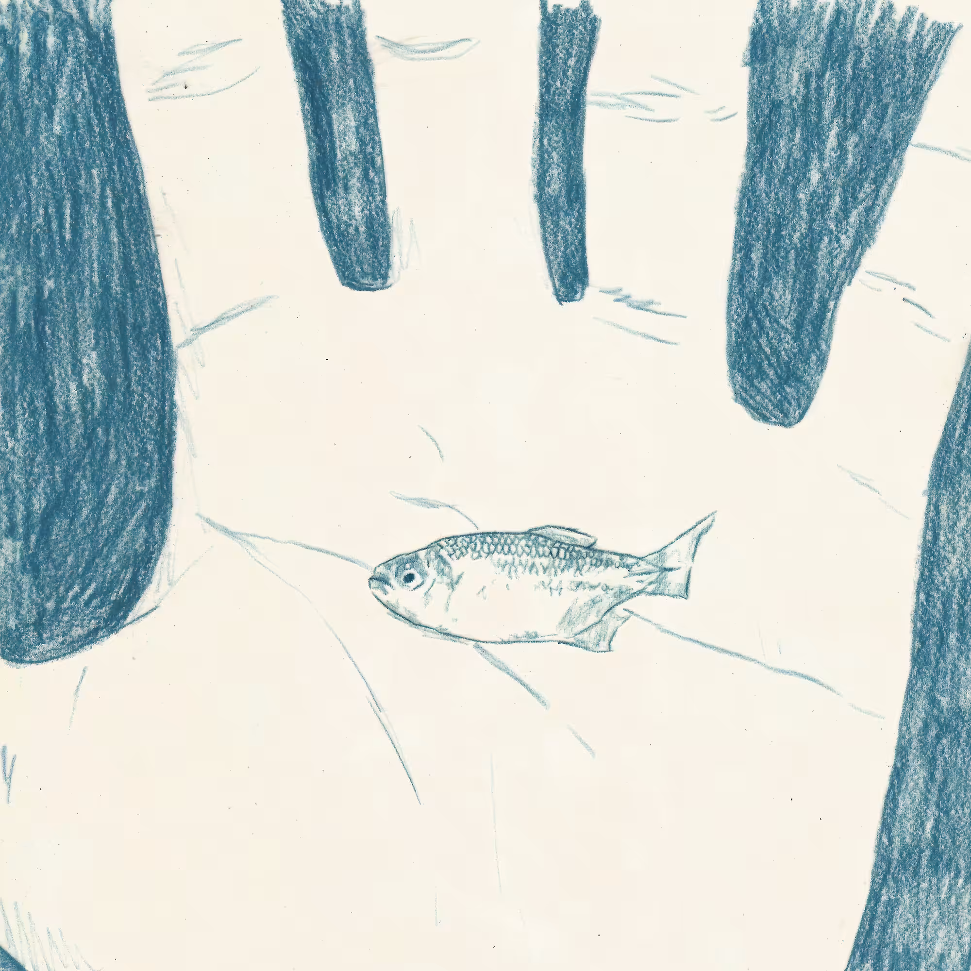 little fish
