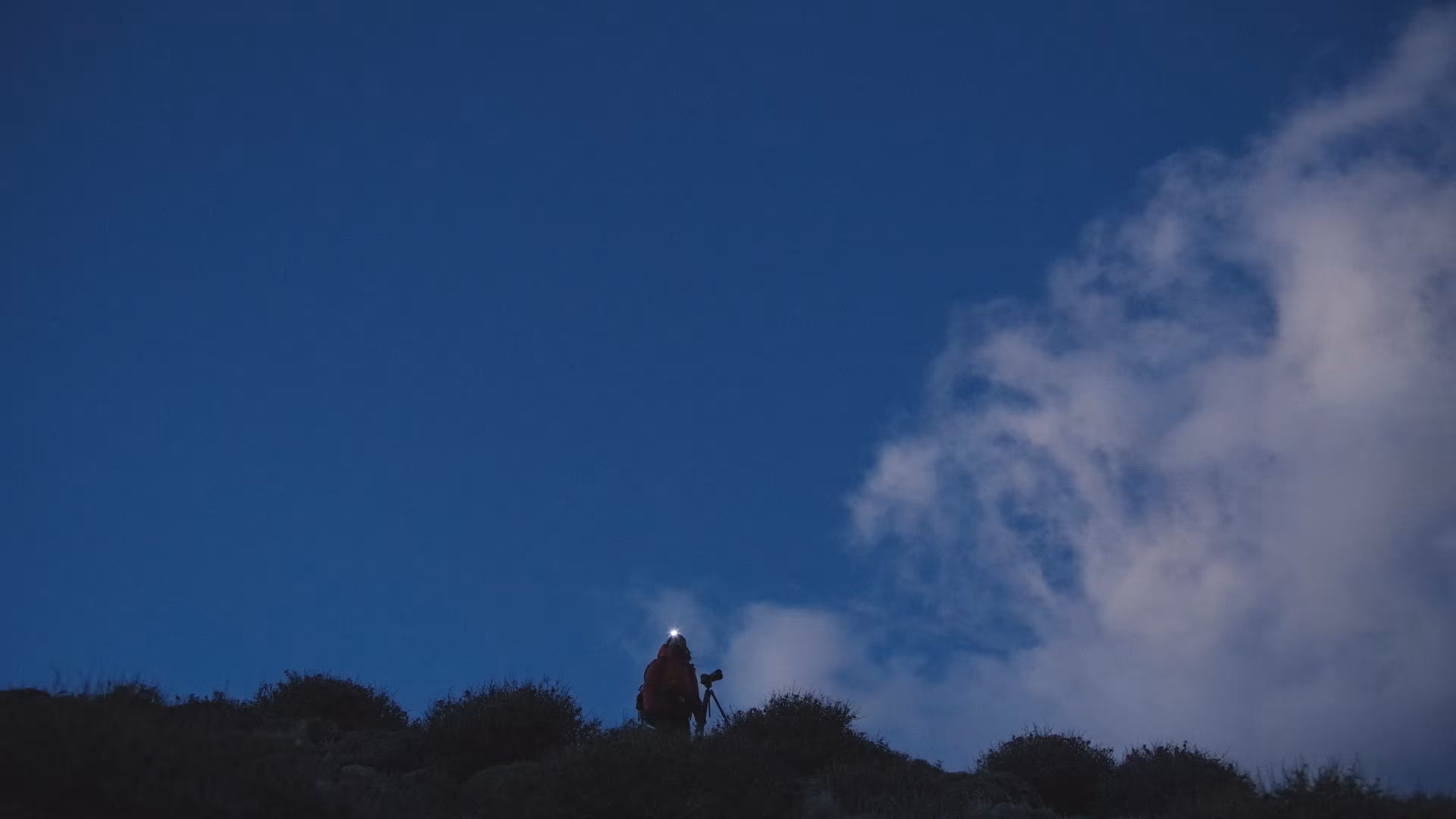 Into the Blue #16