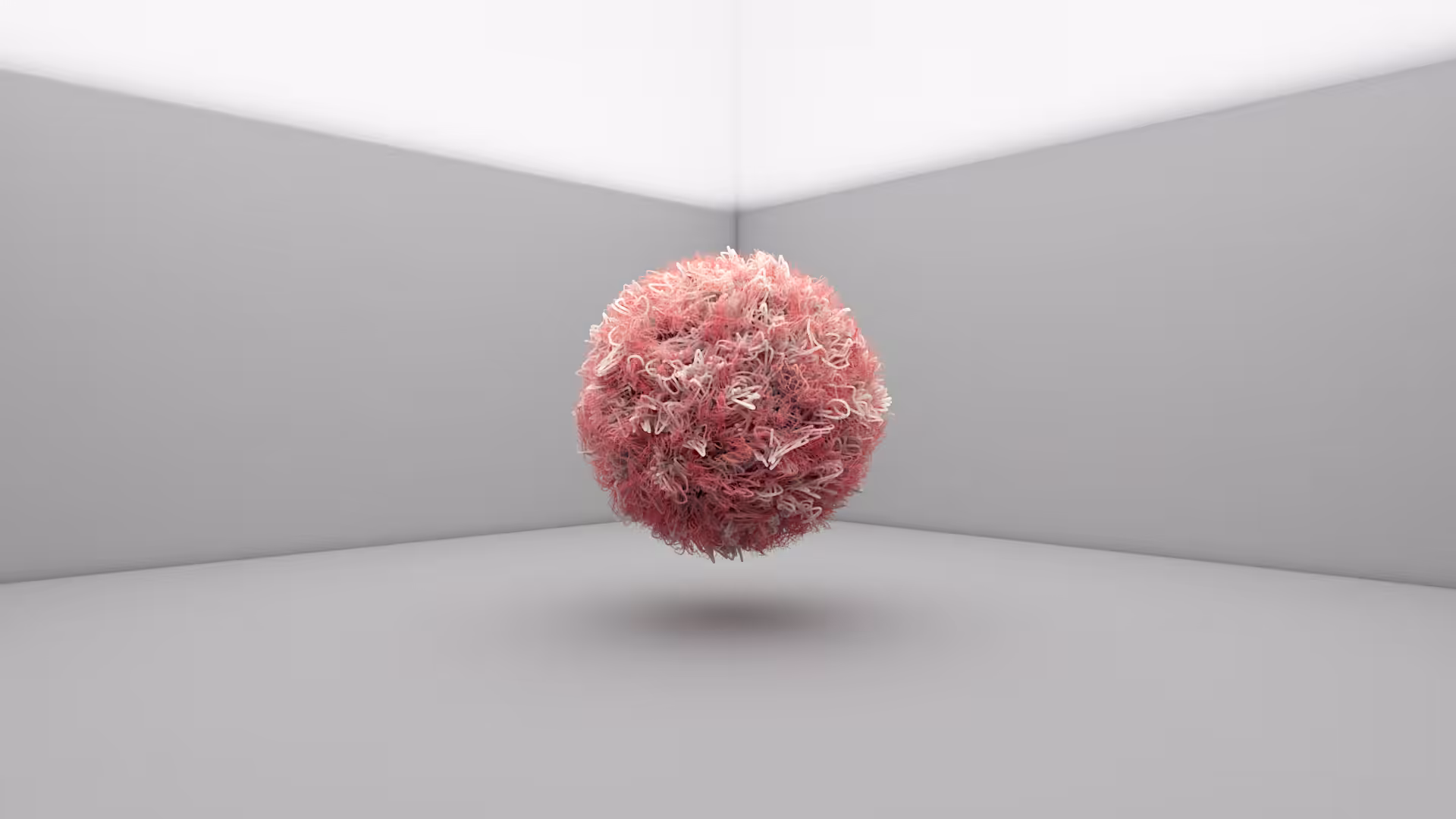 unknown .obj/ect