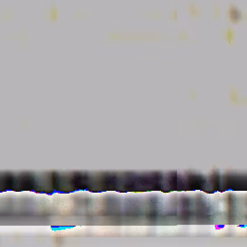 860.mp4
