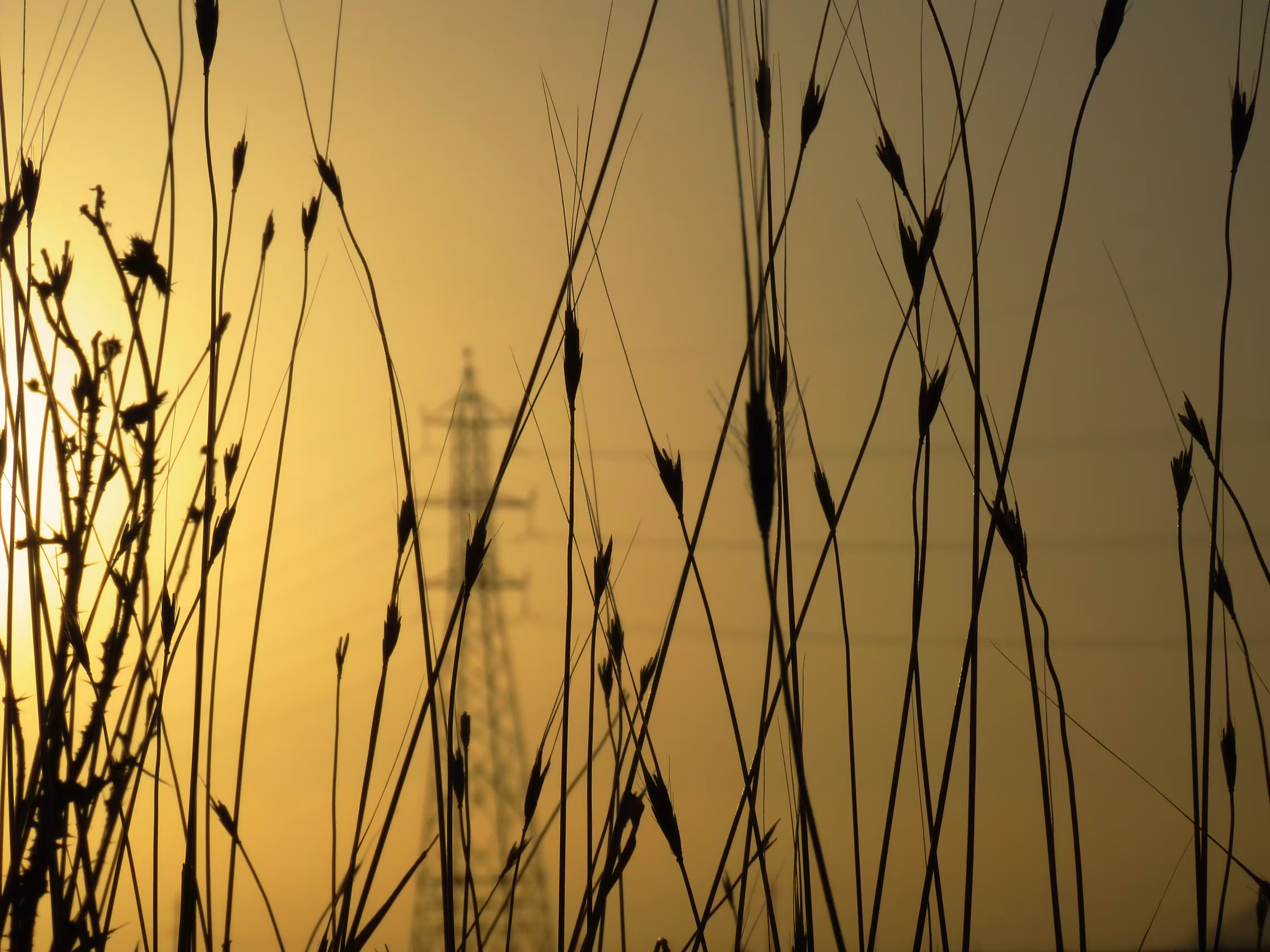 The Happy Valley: Sunset