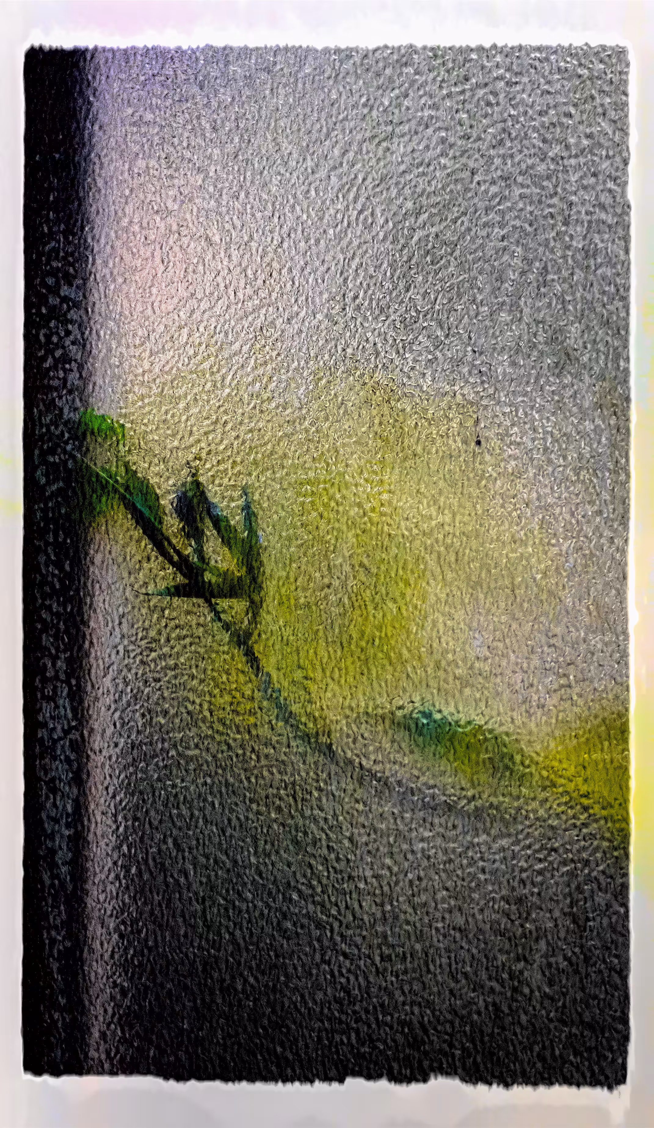 The Quiet Presence of Life in Partial Vision