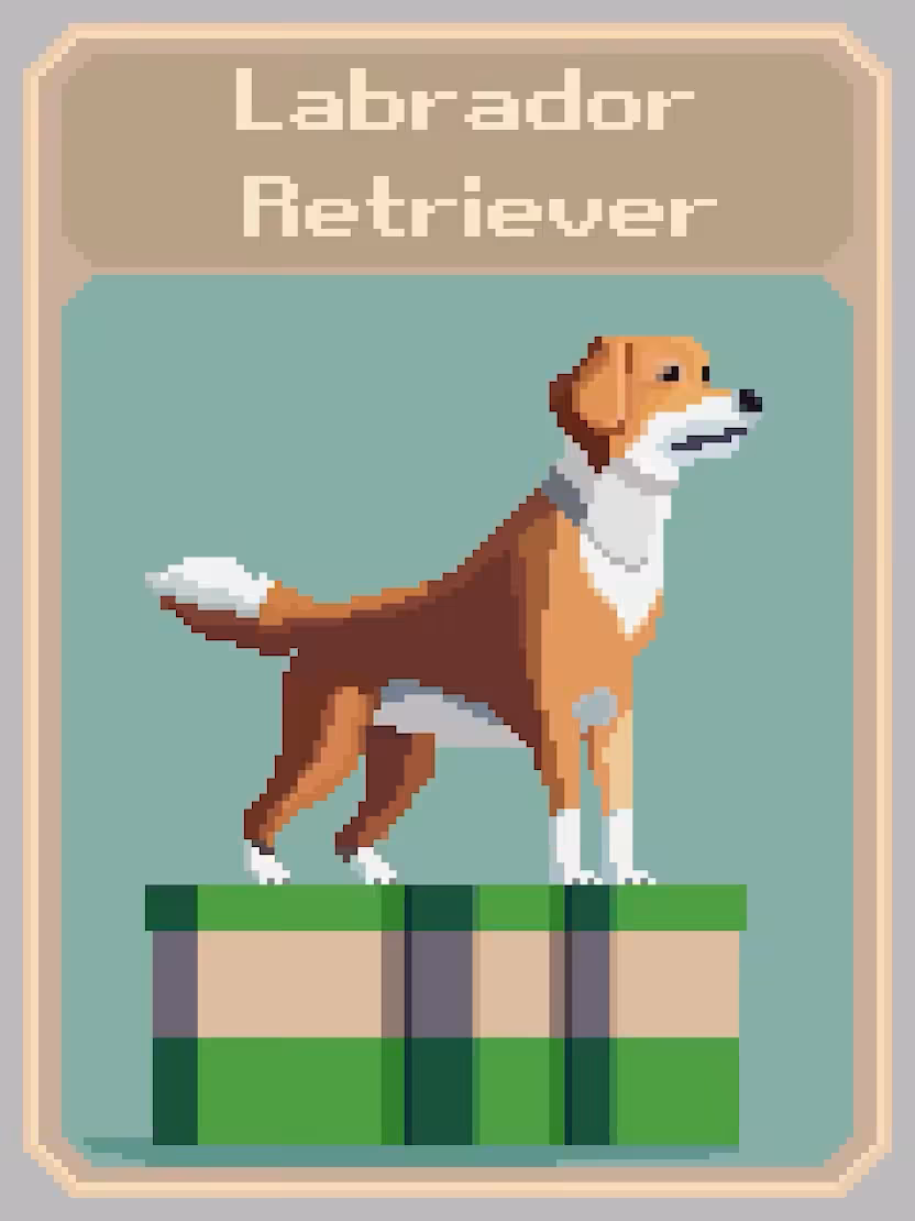 Labrador Retriever