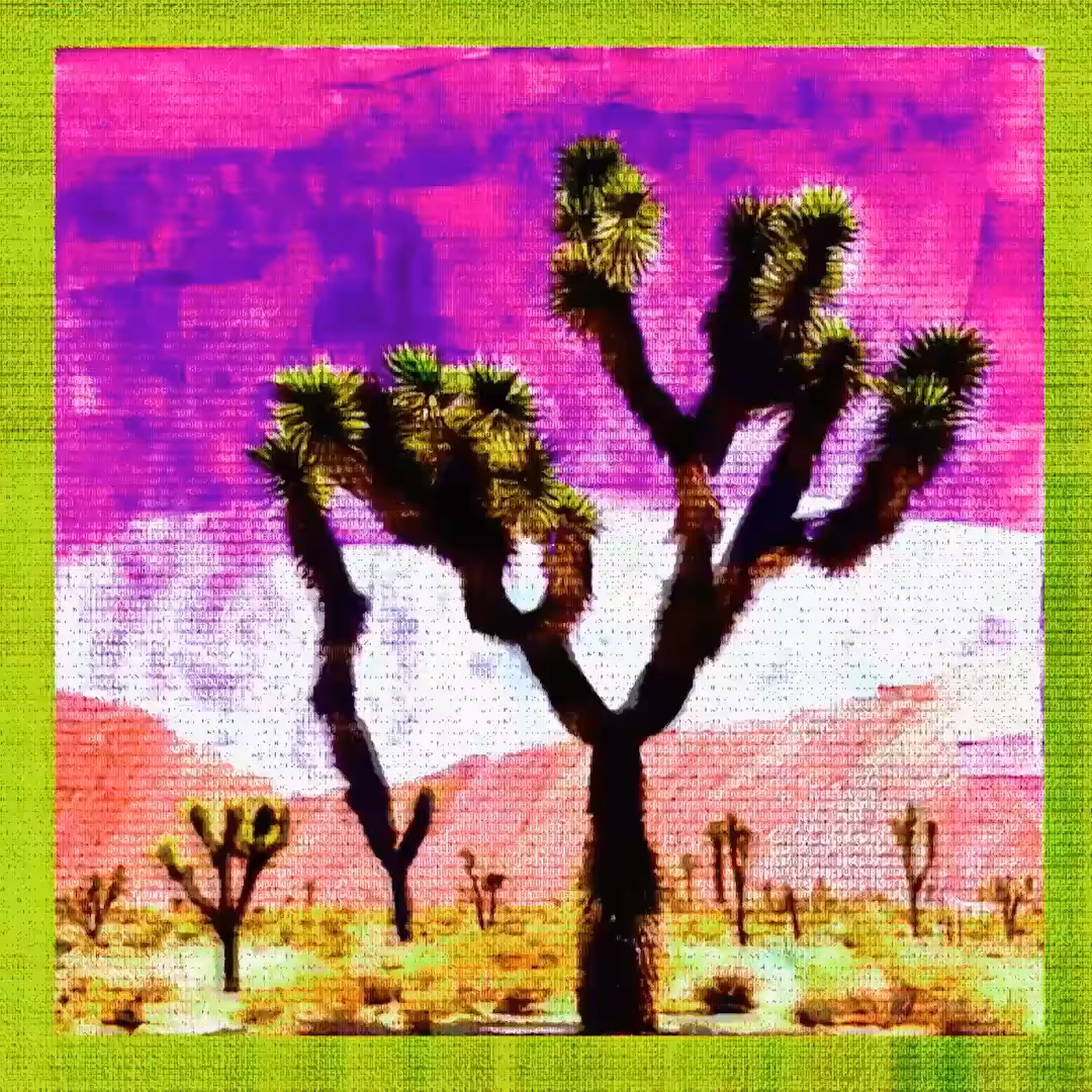 Arid Articulations #22