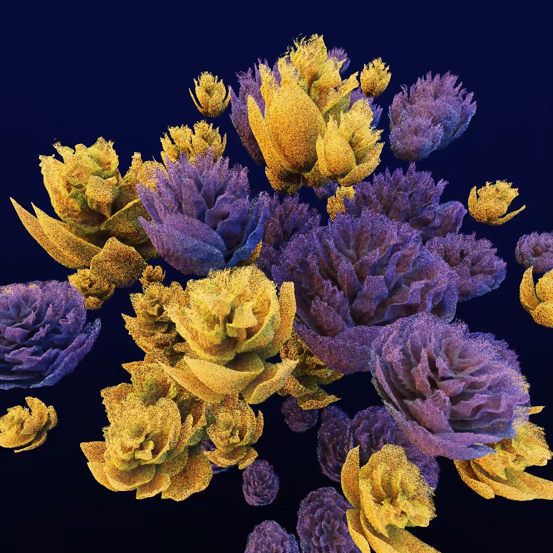 rosarium #78