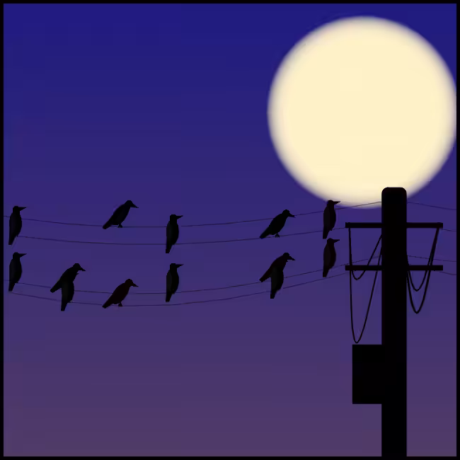 Crows #15