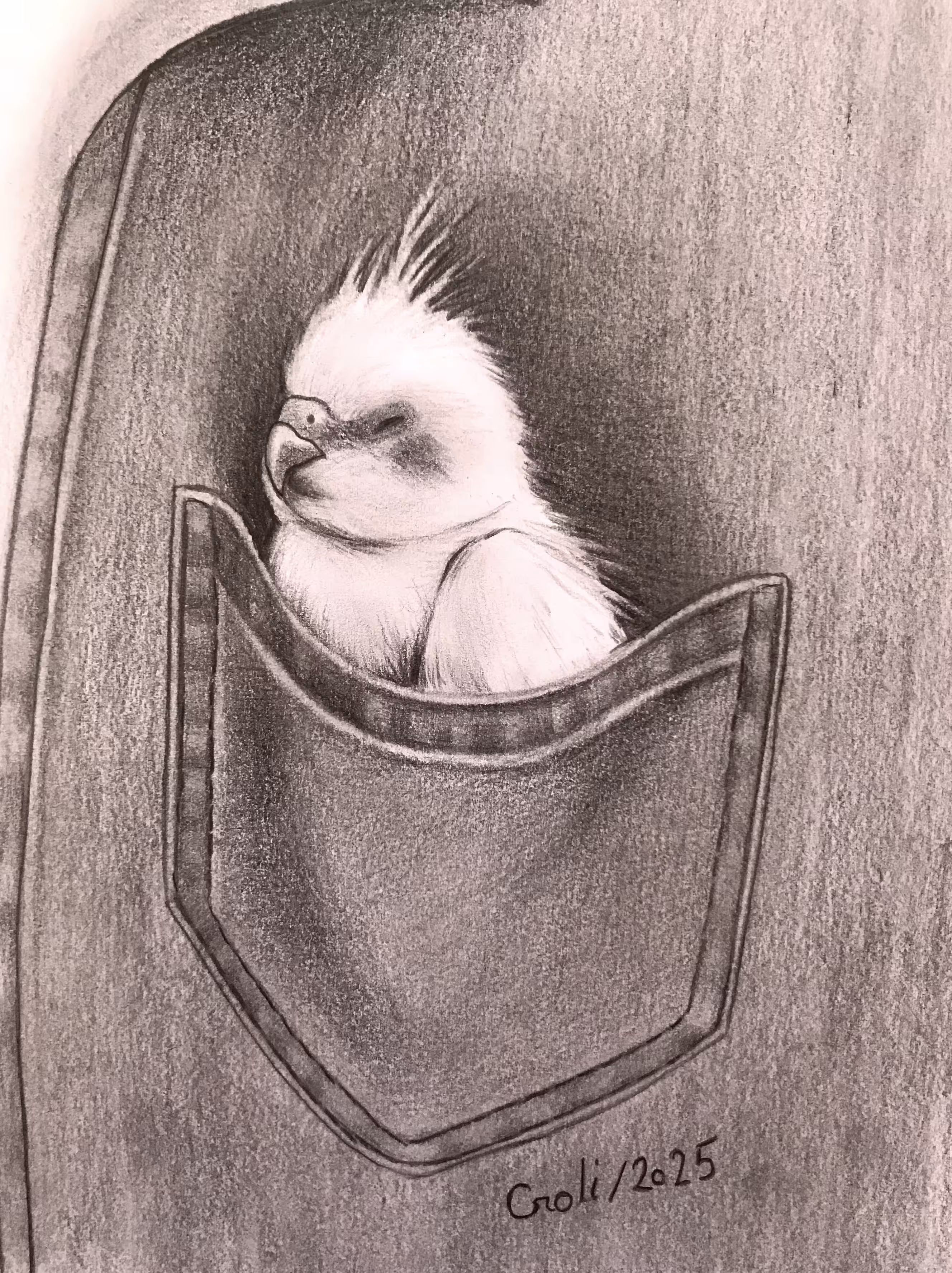 Pocket of Friendship