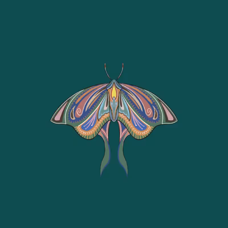 The Moth Experiment 2.0 P2 #35