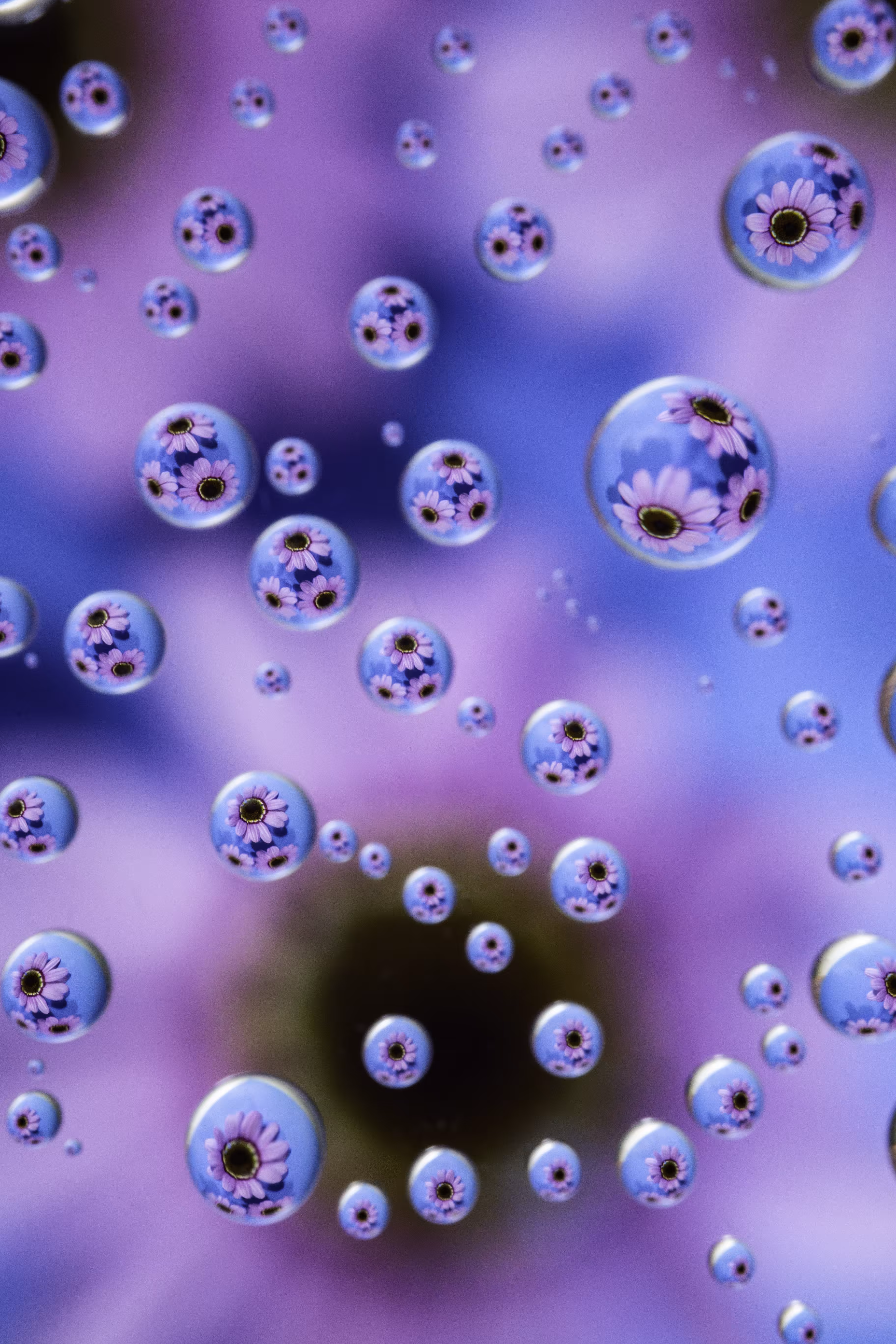 Bubblegum