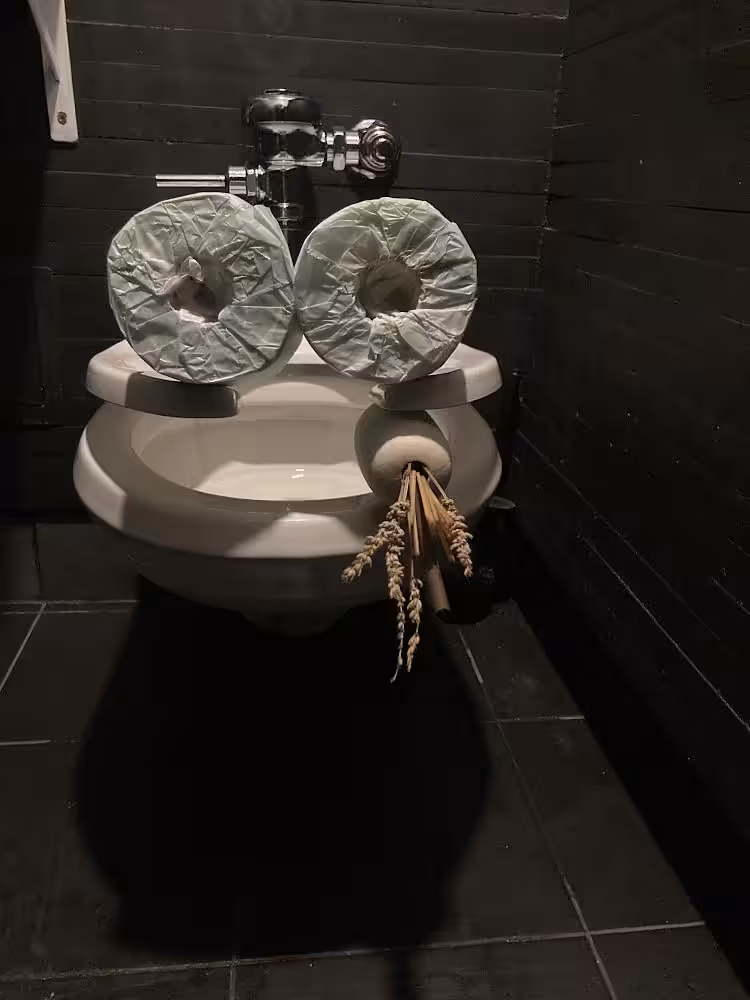 Pepe Toilets NYC #44