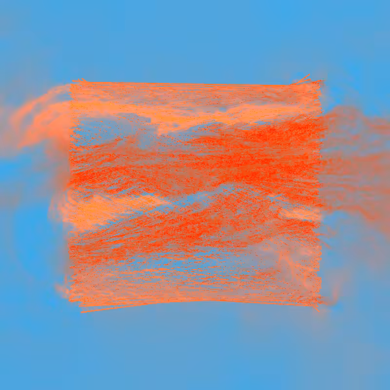 xxf #61