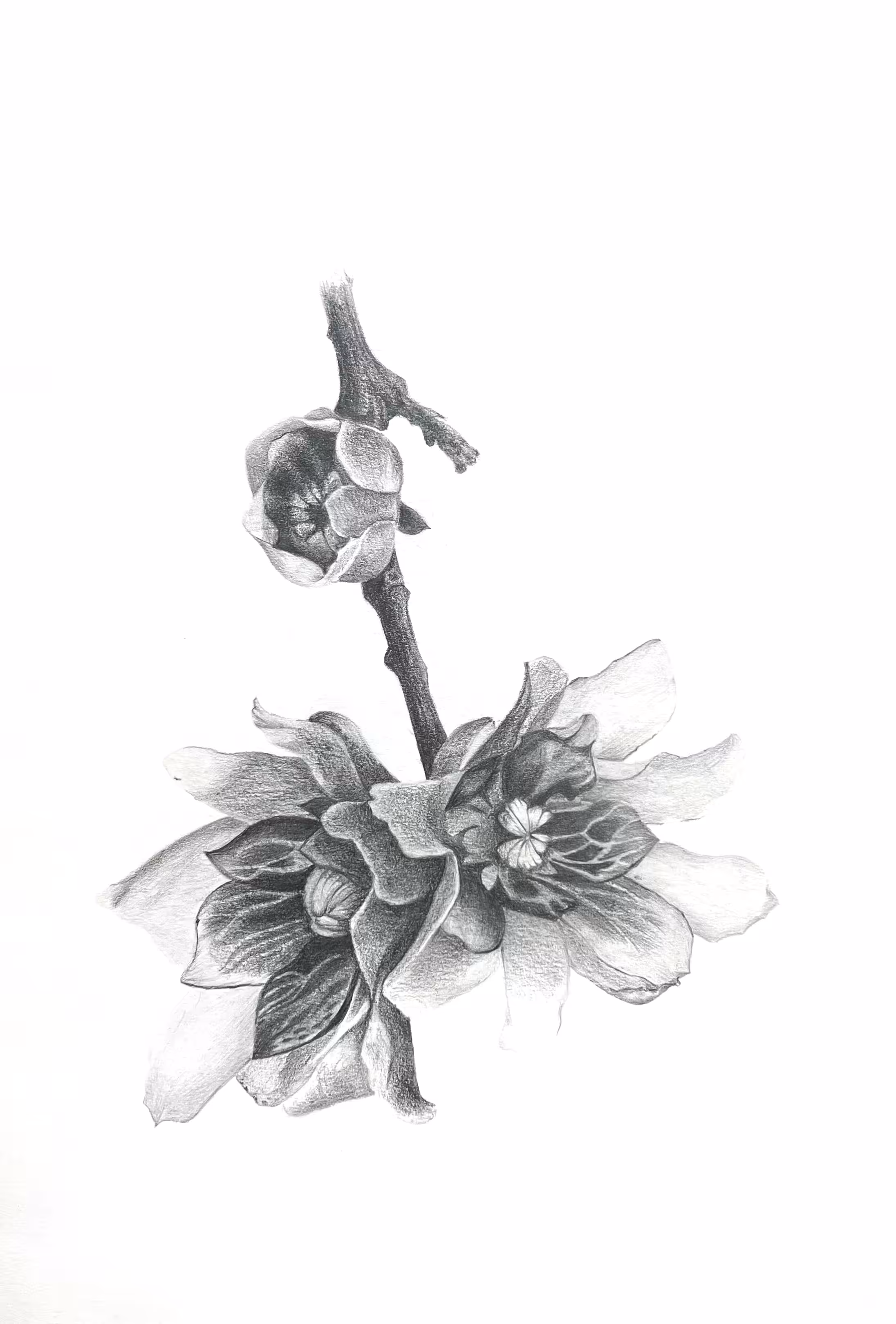 beauty is in details